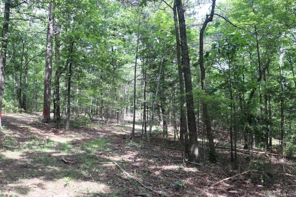  Tracewood  Dennard, AR