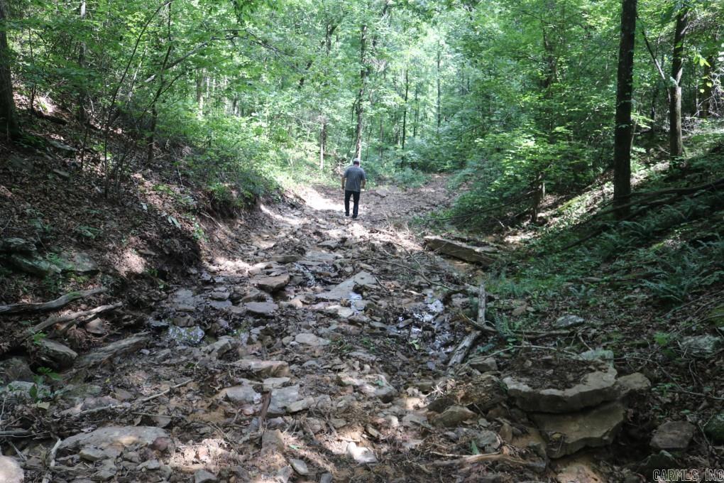  Tracewood  Dennard, AR