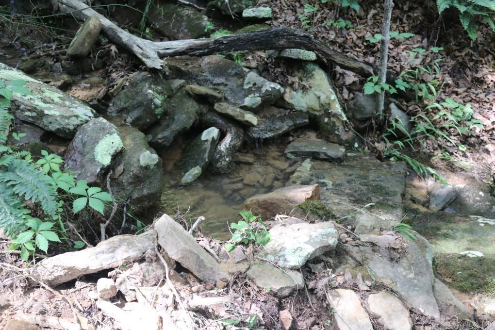  Tracewood  Dennard, AR
