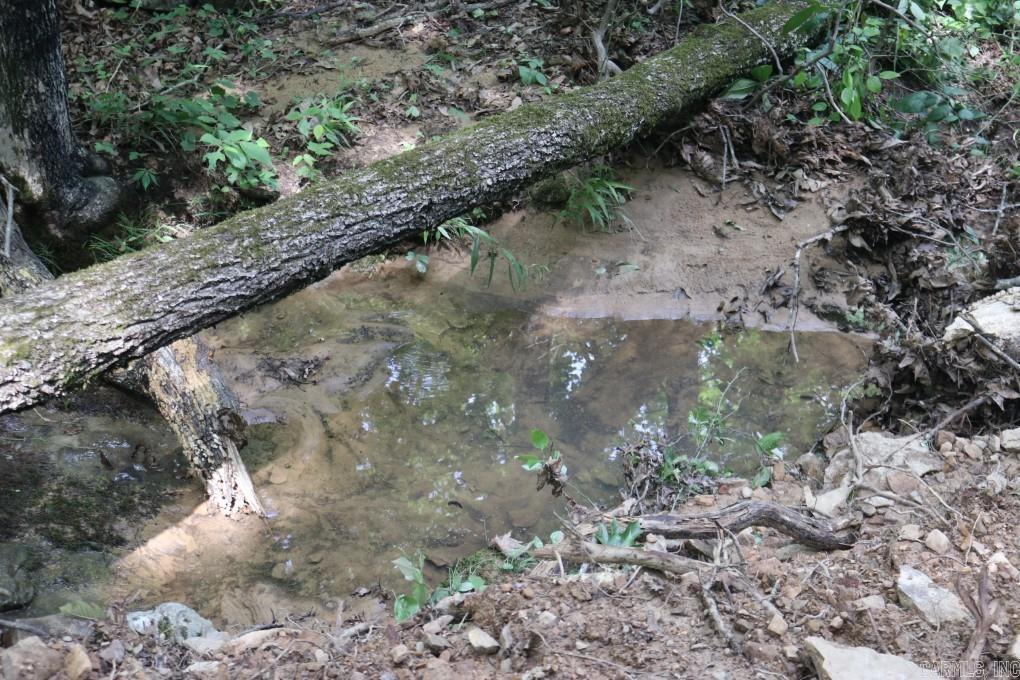  Tracewood  Dennard, AR