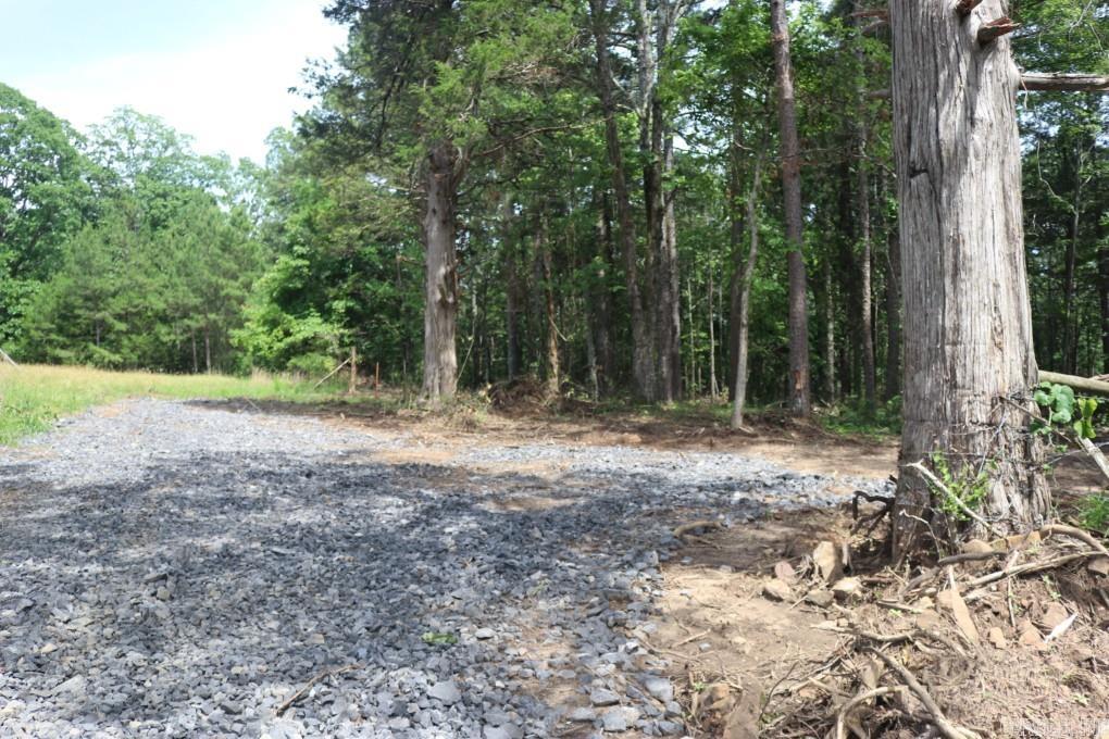  Tracewood  Dennard, AR