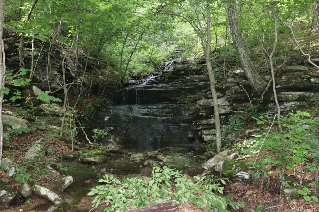  Tracewood  Dennard, AR