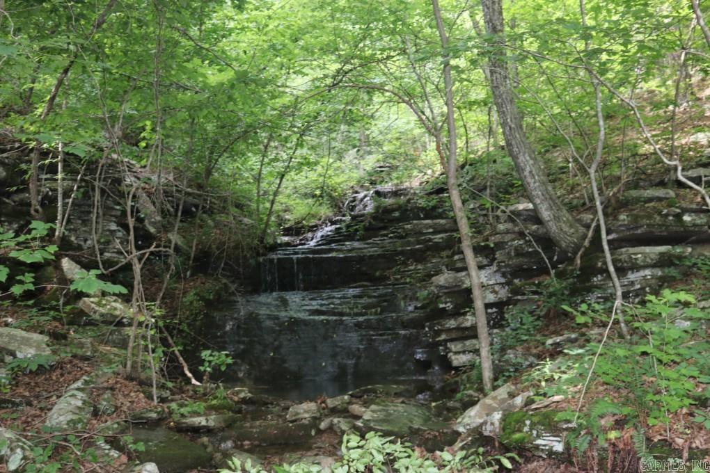  Tracewood  Dennard, AR