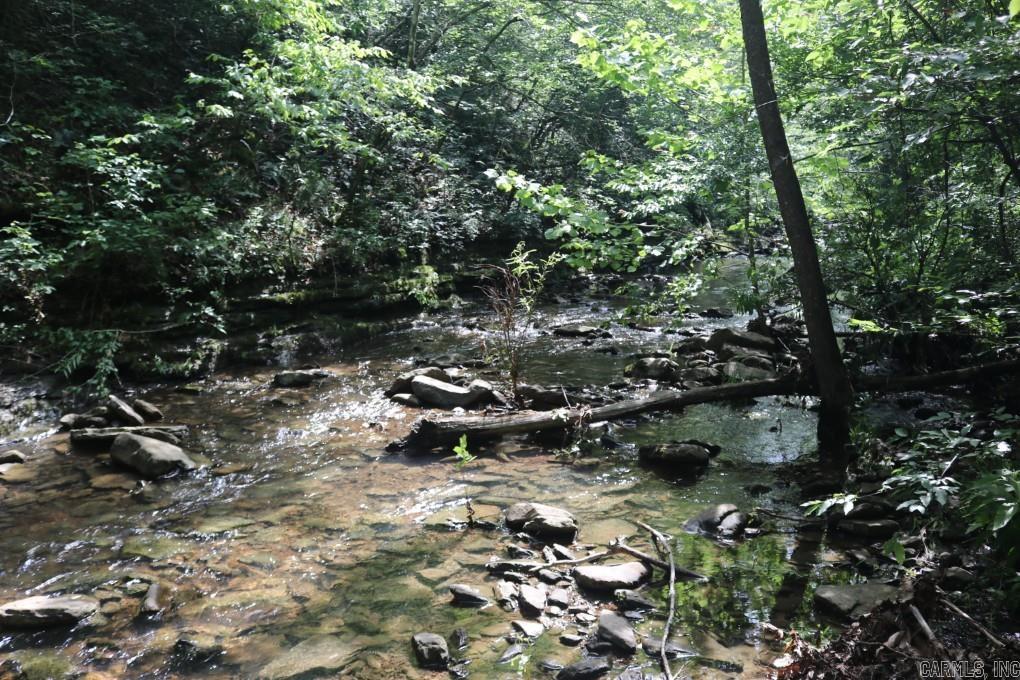  Tracewood  Dennard, AR