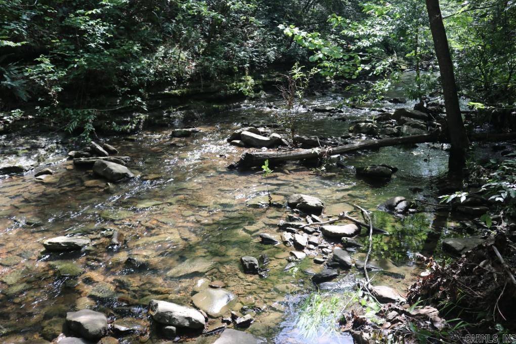  Tracewood  Dennard, AR