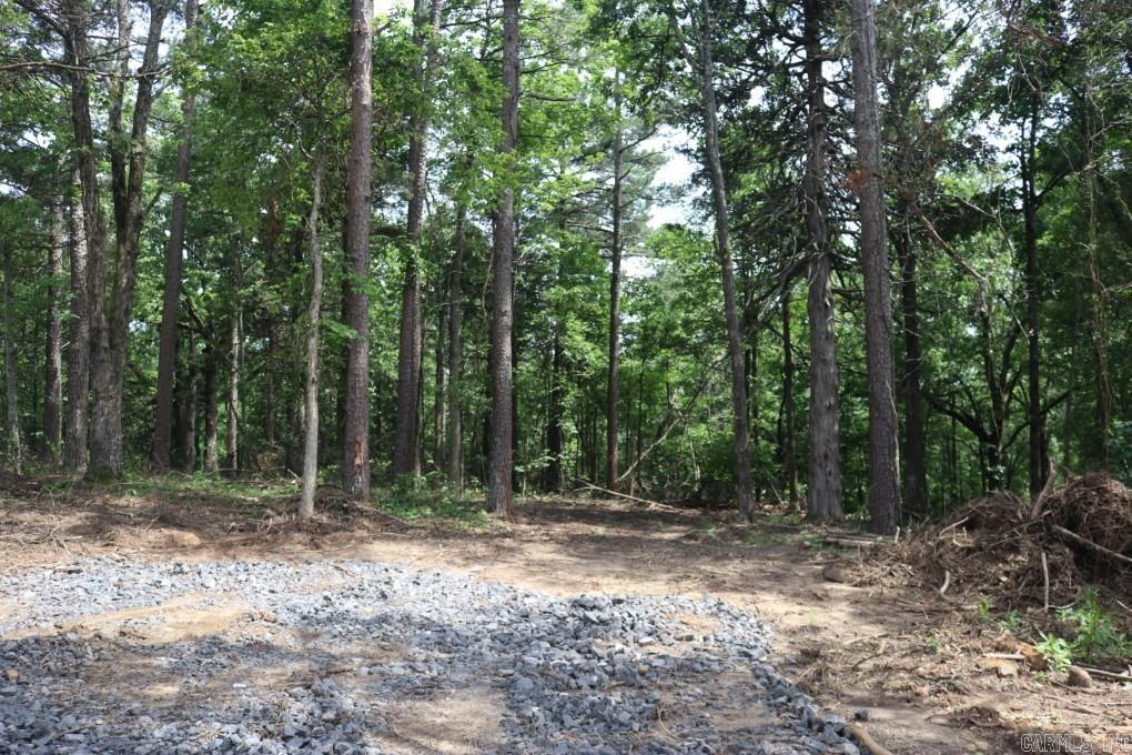  Tracewood  Dennard, AR