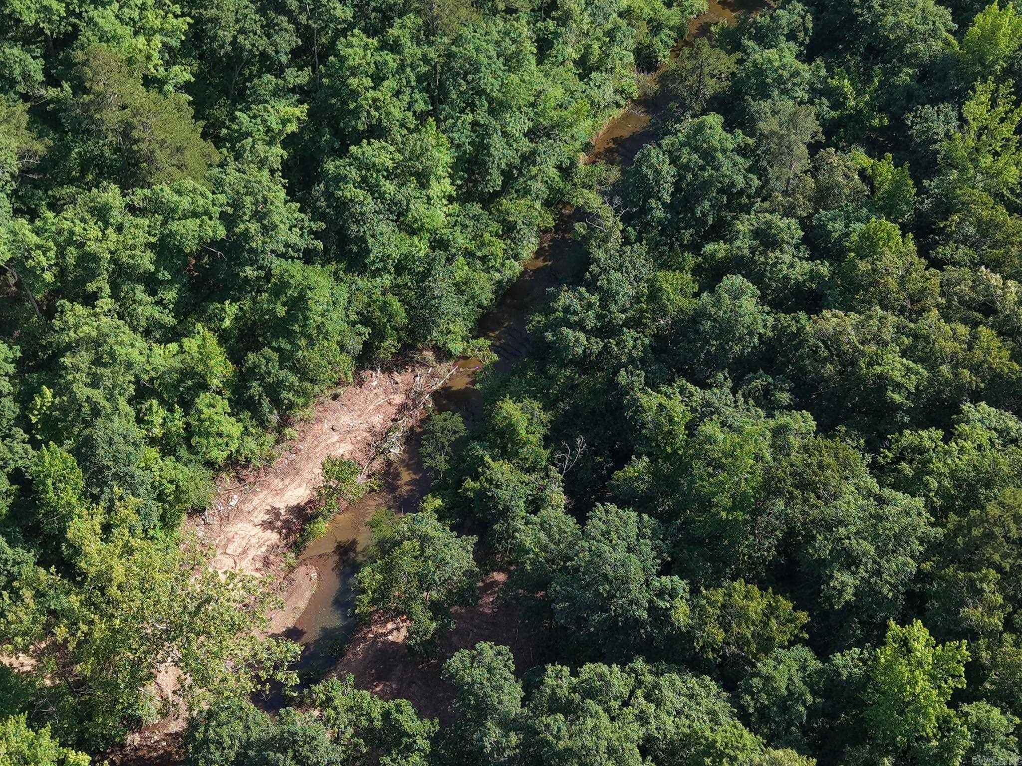  Tracewood  Dennard, AR
