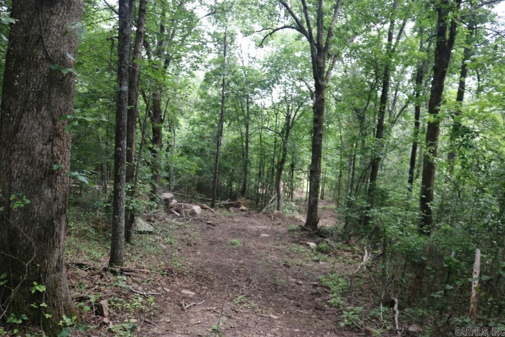  Tracewood  Dennard, AR