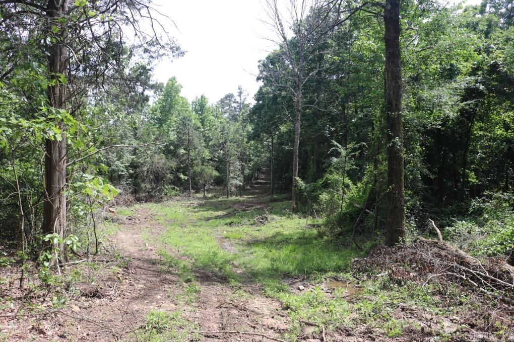  Tracewood  Dennard, AR