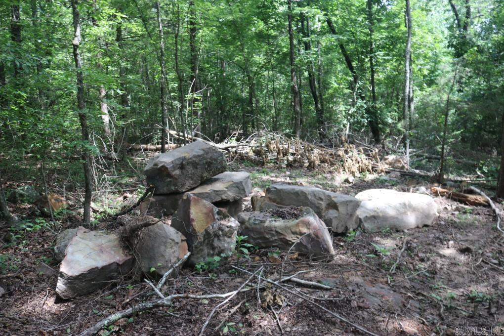  Tracewood  Dennard, AR