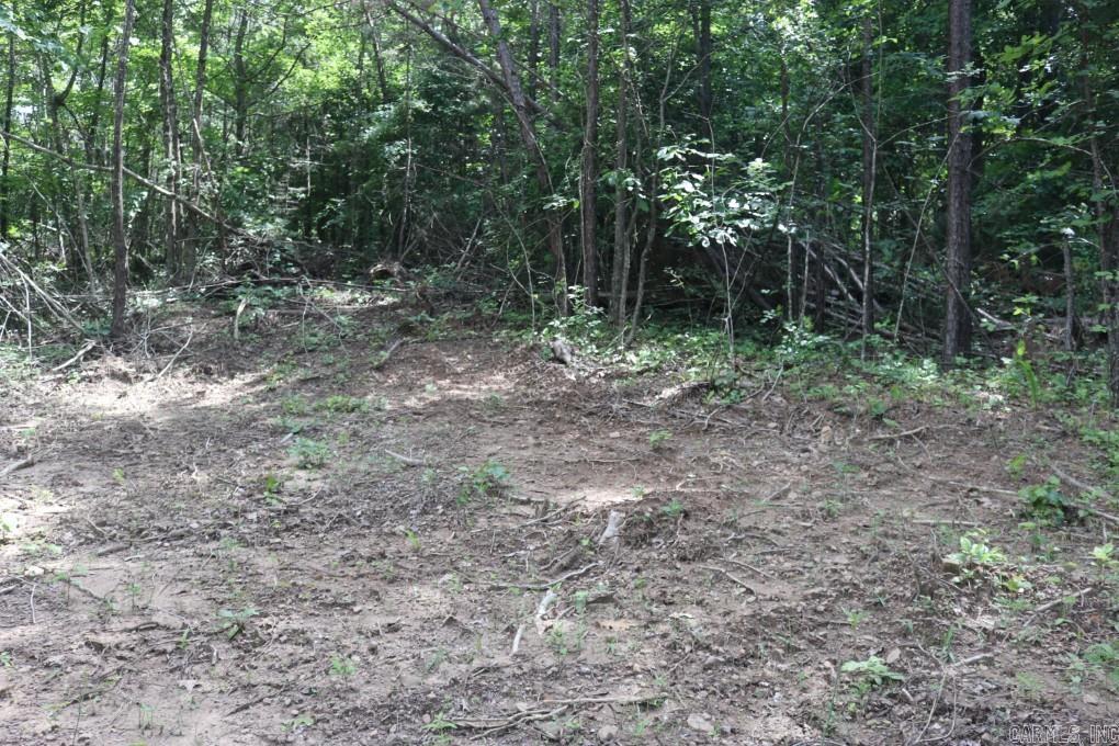  Tracewood  Dennard, AR