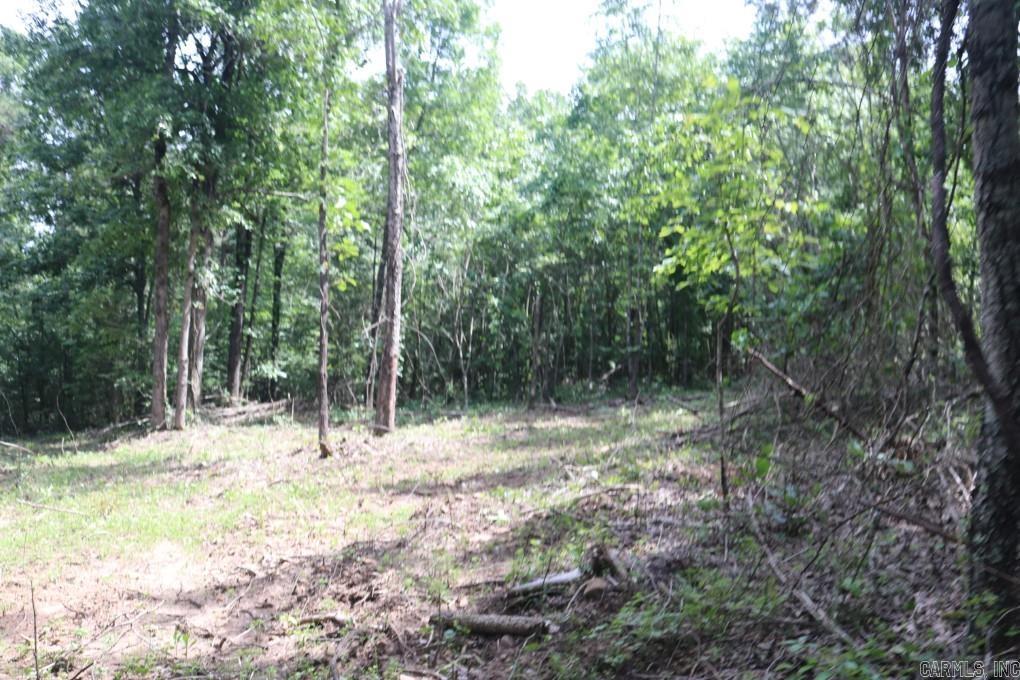  Tracewood  Dennard, AR