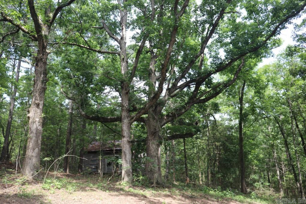  Tracewood  Dennard, AR
