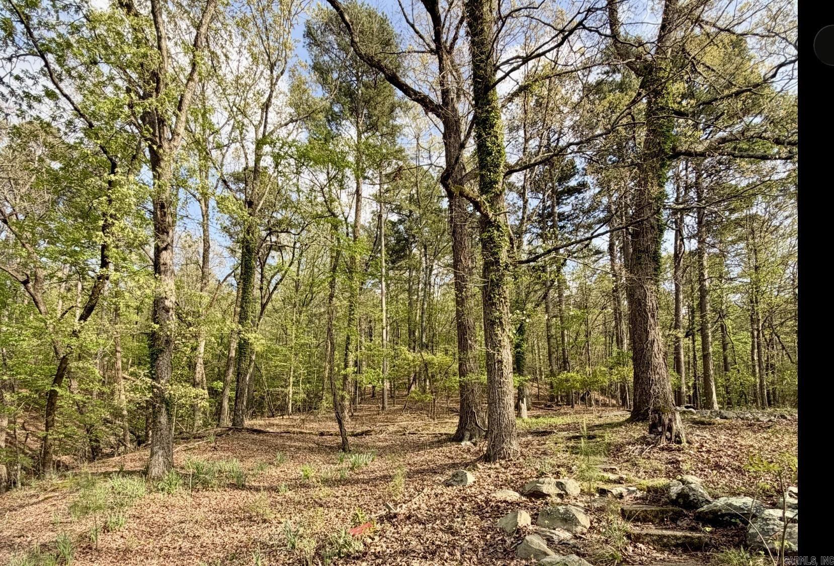 416 Ramble  Hot Springs, AR