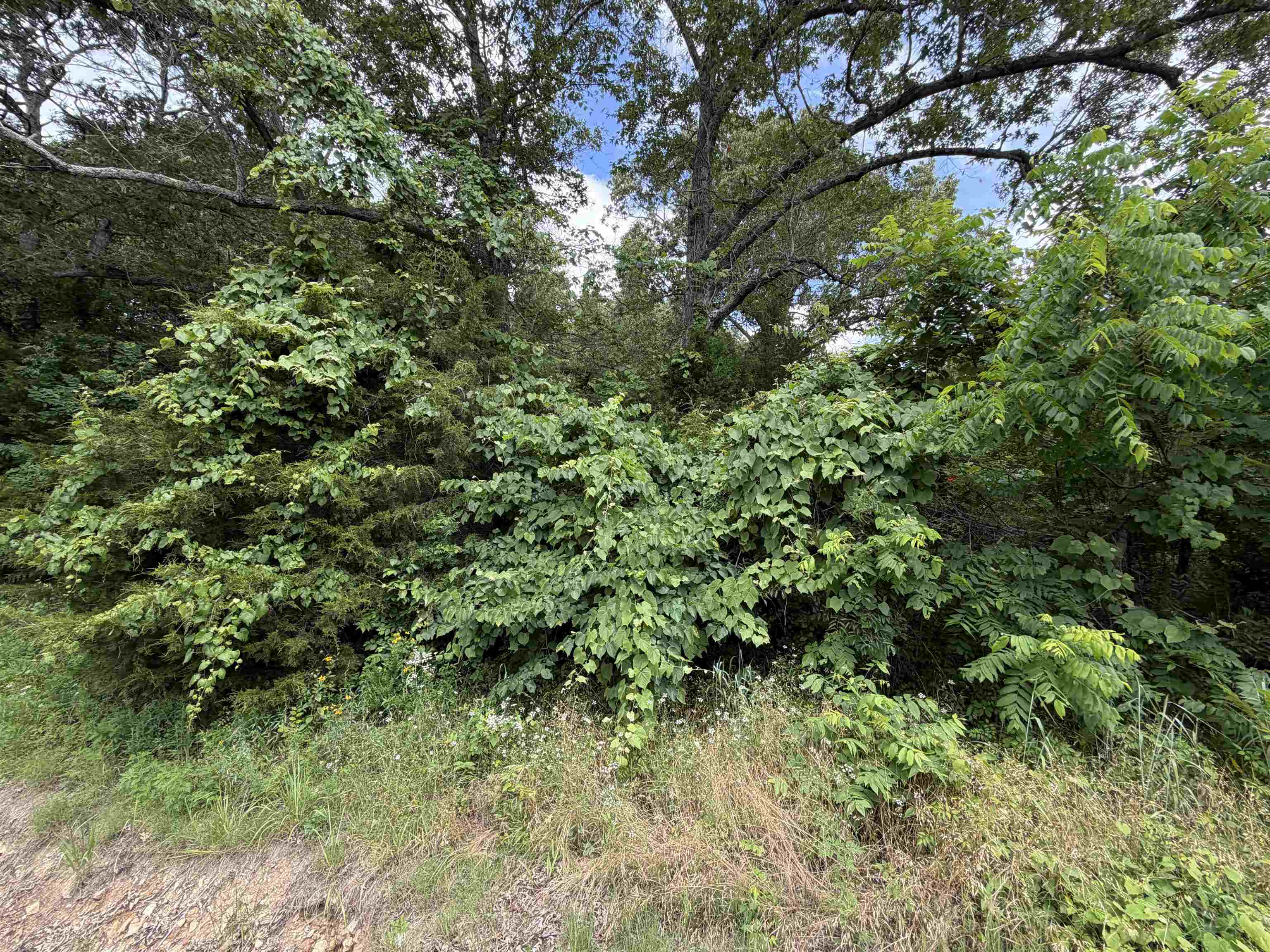 0 56  Brockwell, AR