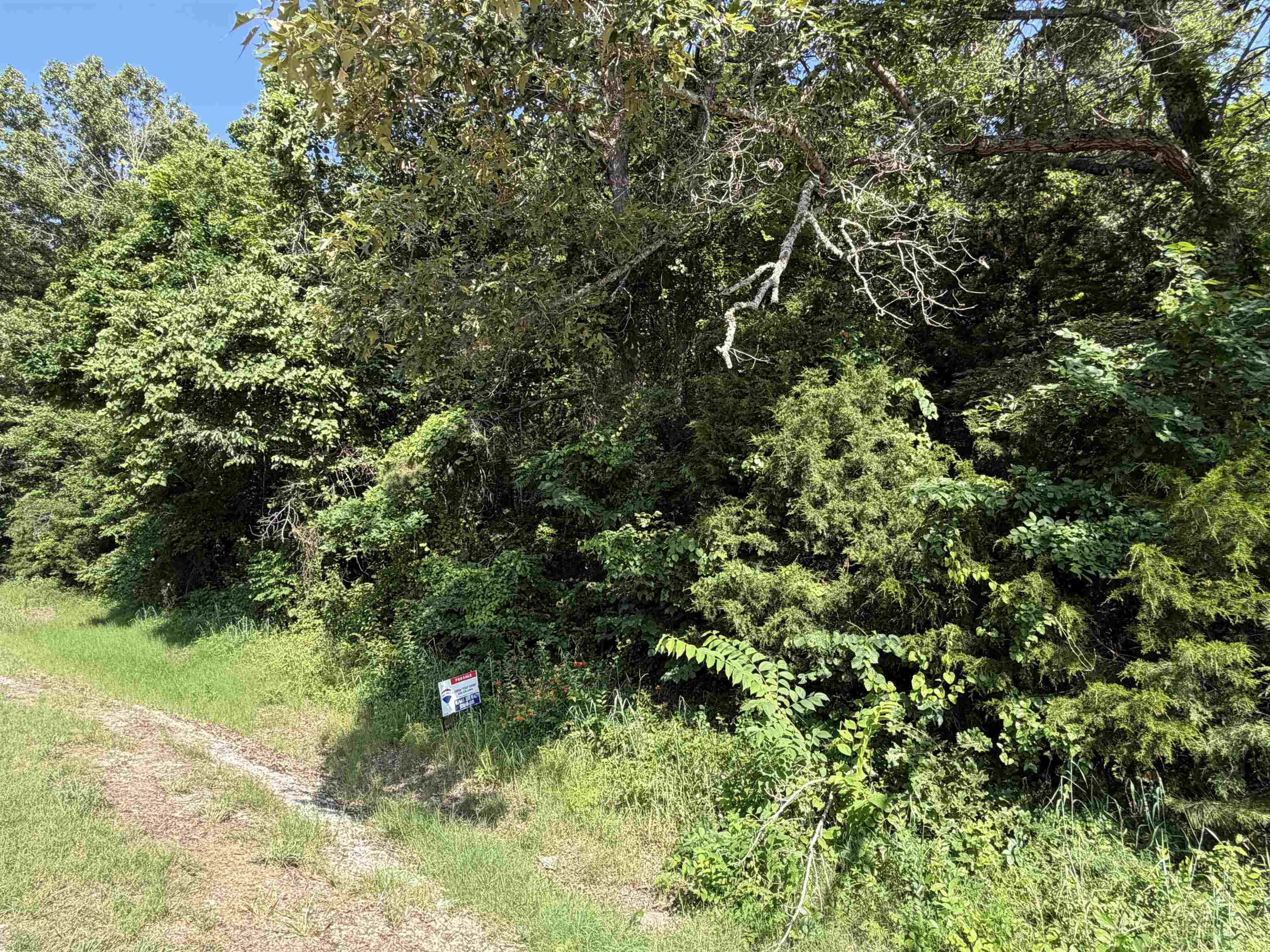 0 56  Brockwell, AR