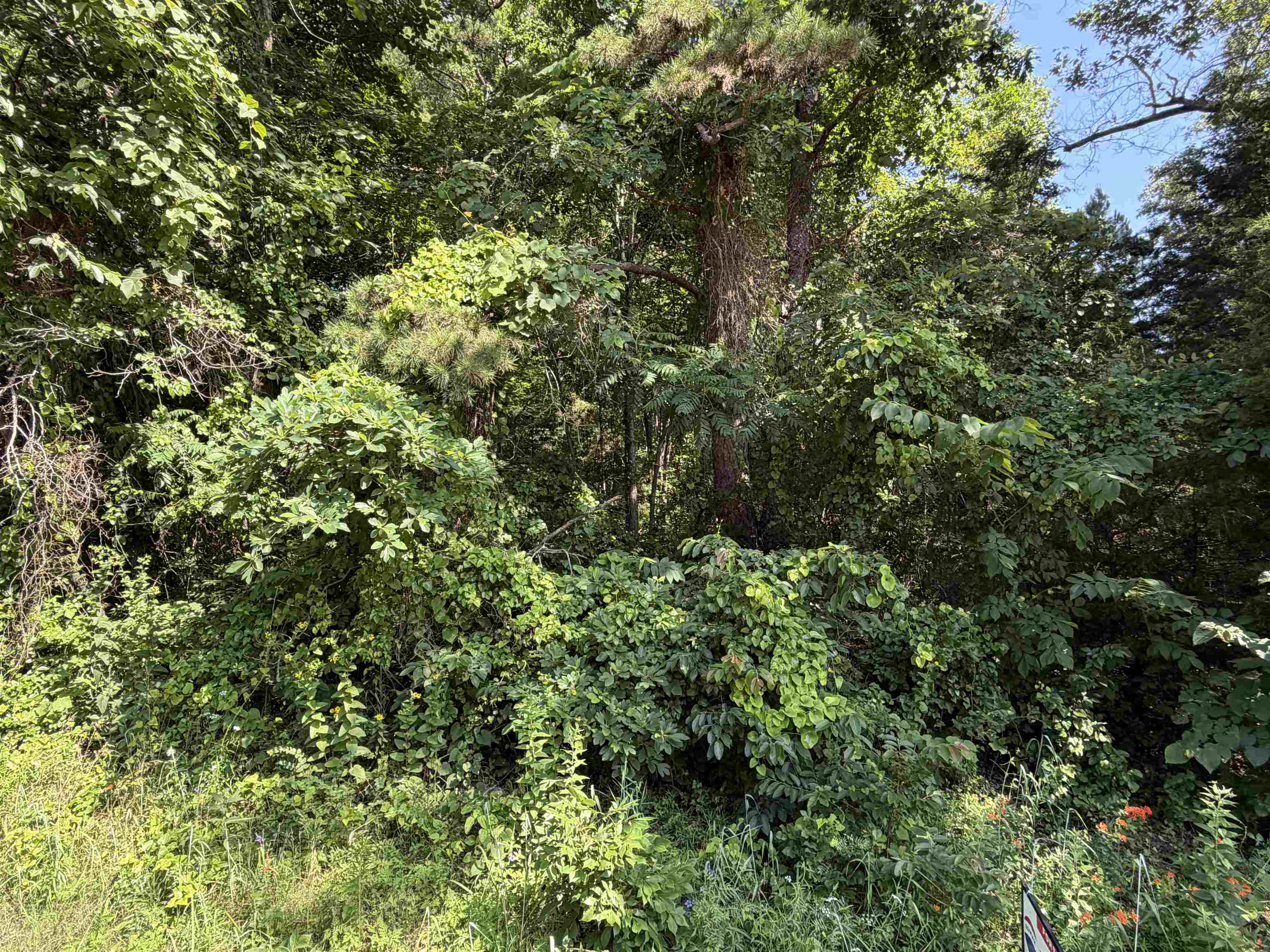 0 56  Brockwell, AR