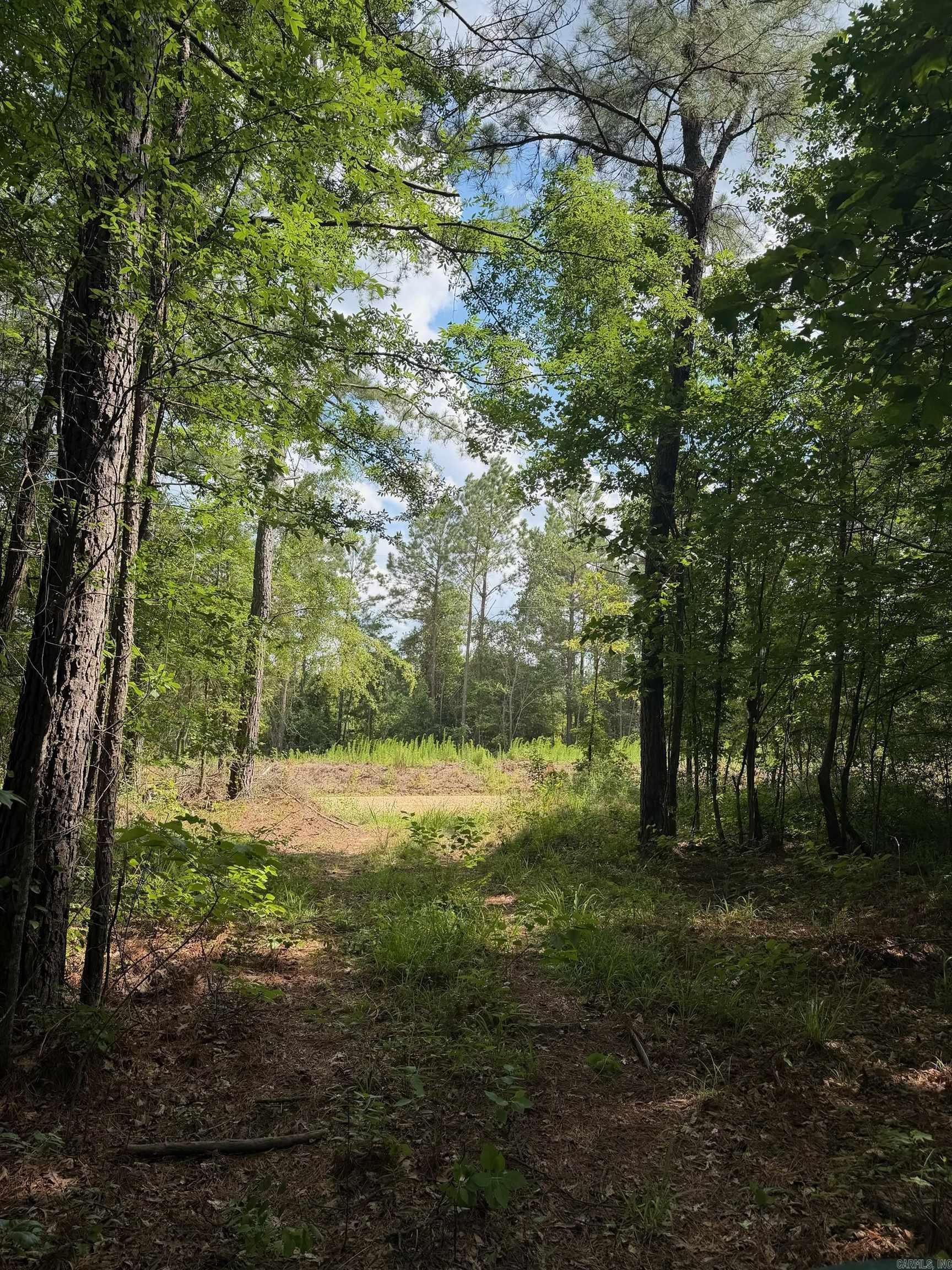 00 Alphin Road  El Dorado, AR