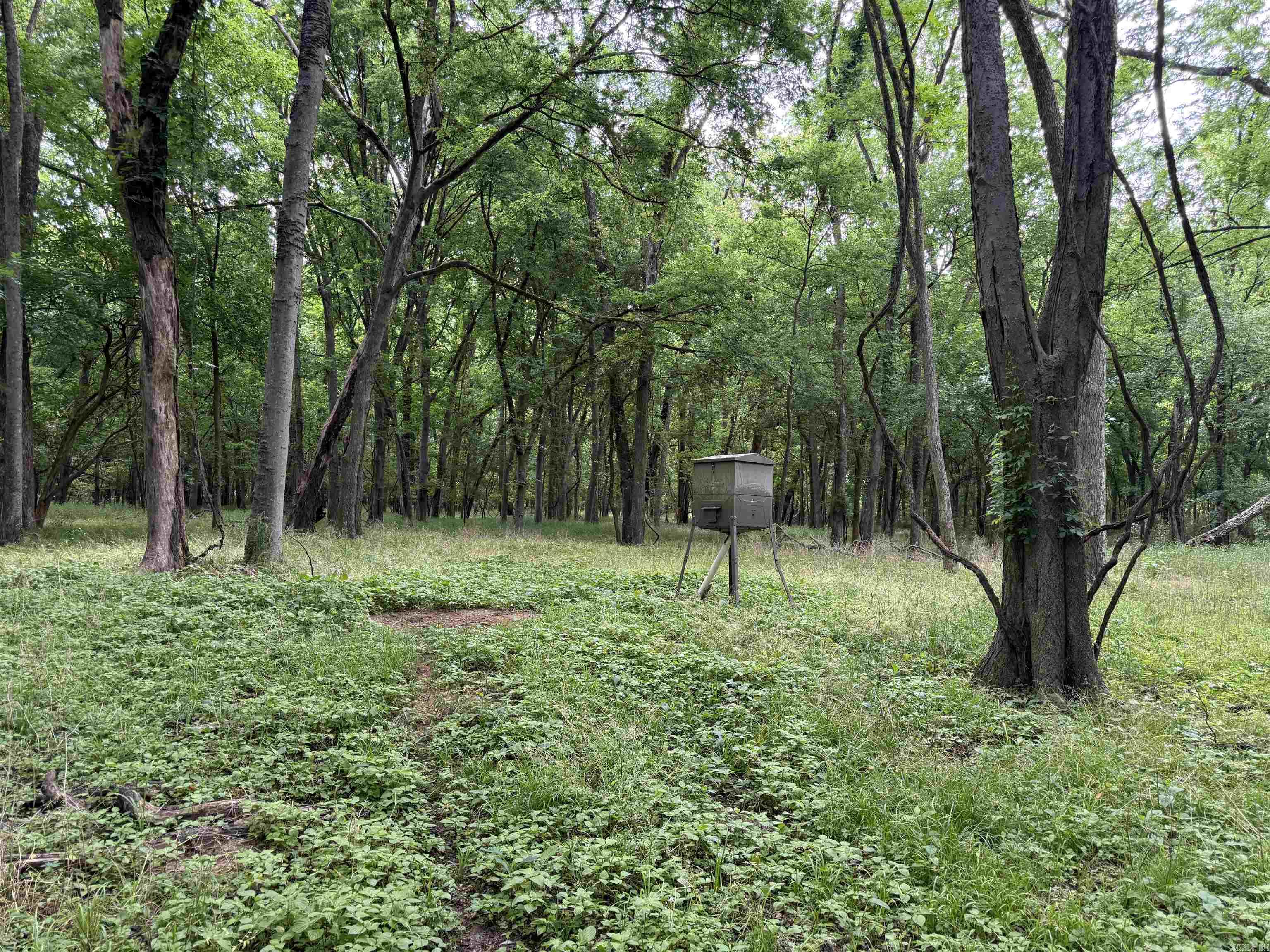 000 Sandy Rd.  Morrilton, AR