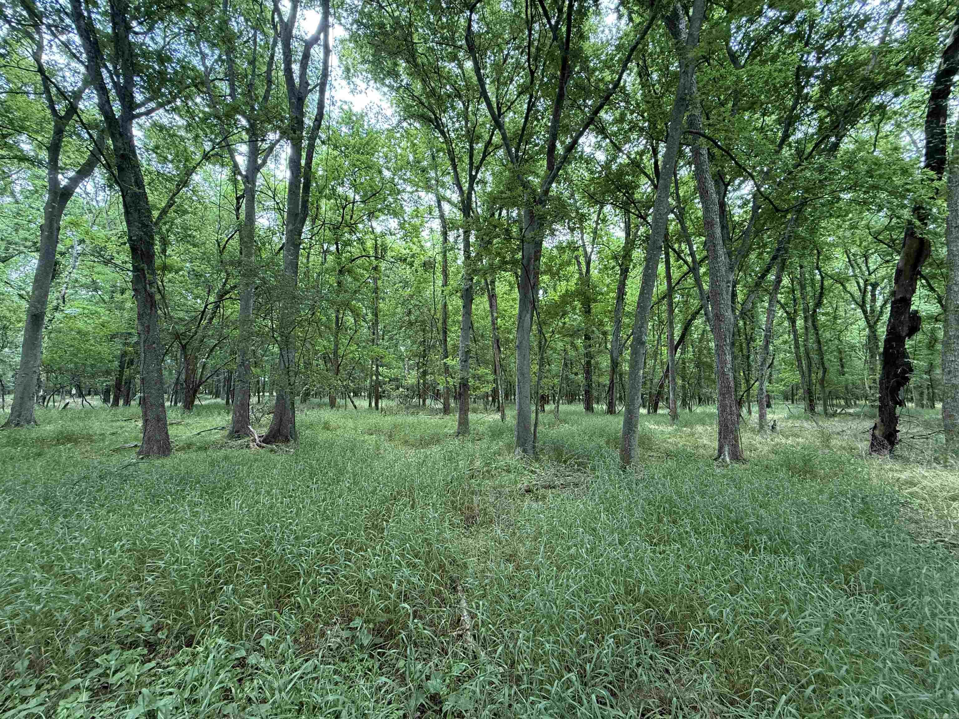 000 Sandy Rd.  Morrilton, AR