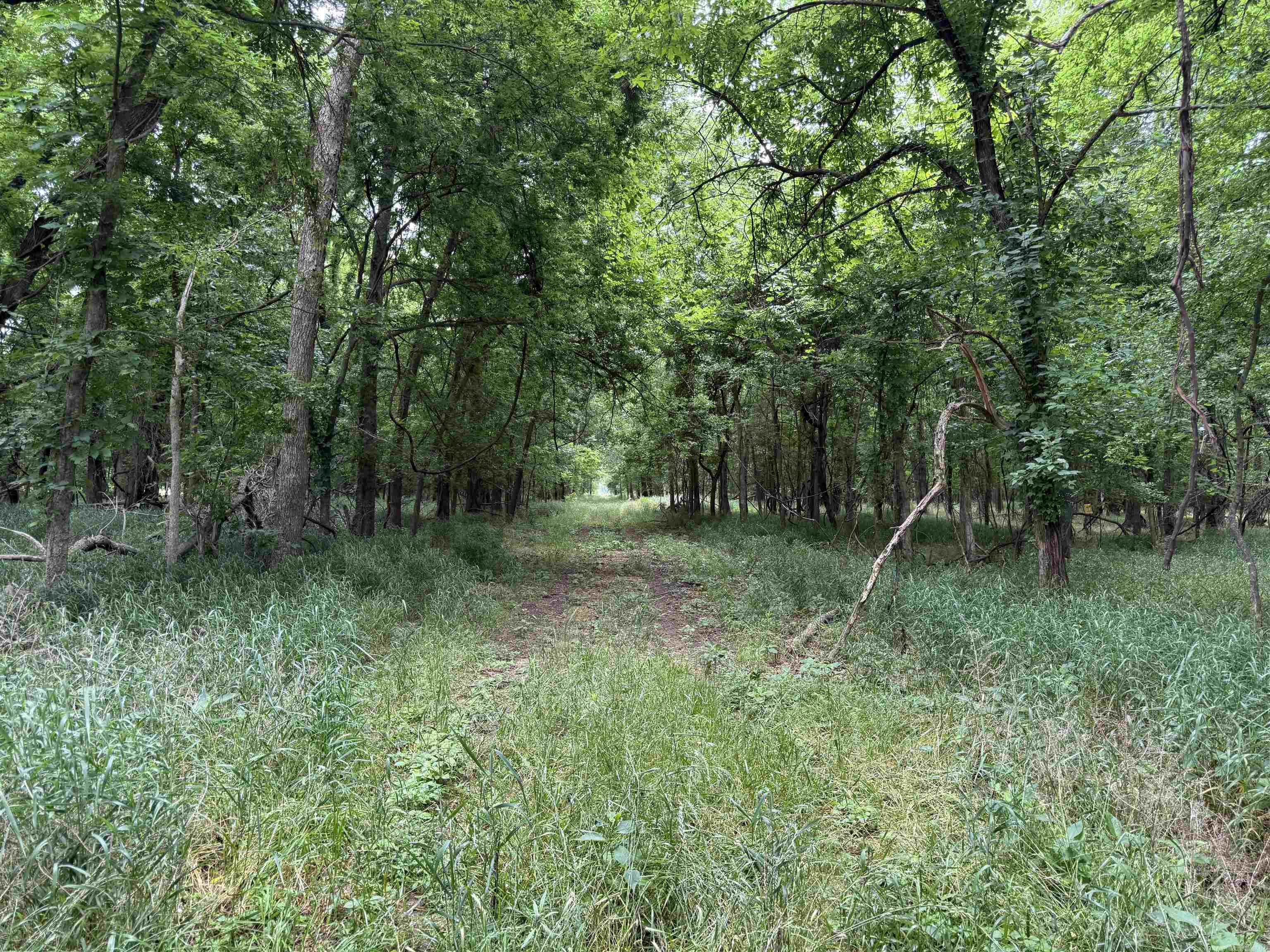 000 Sandy Rd.  Morrilton, AR