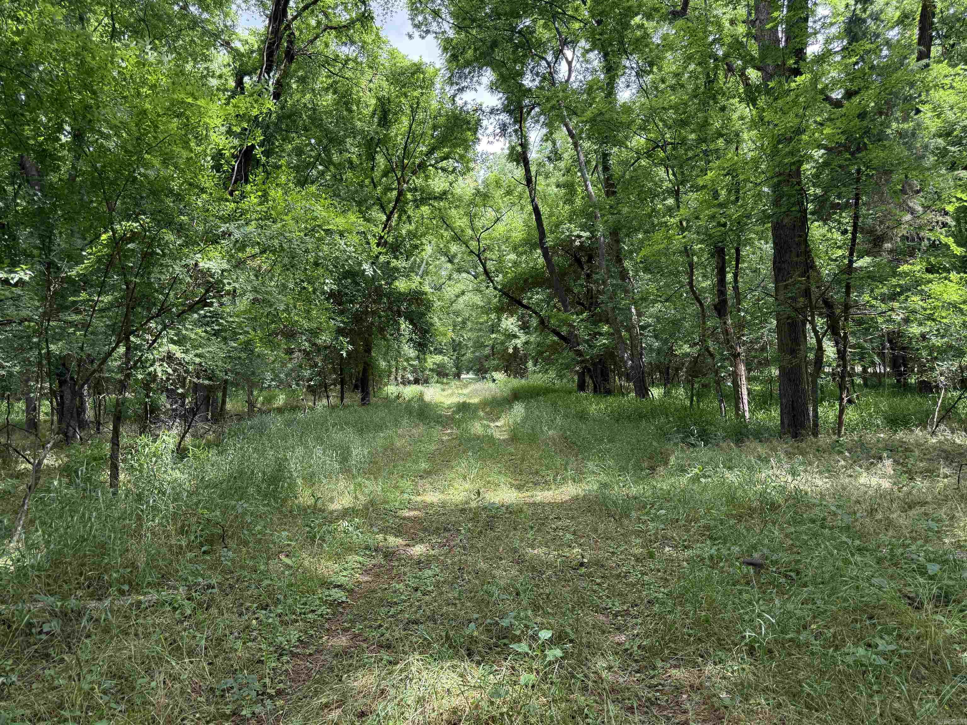 000 Sandy Rd.  Morrilton, AR