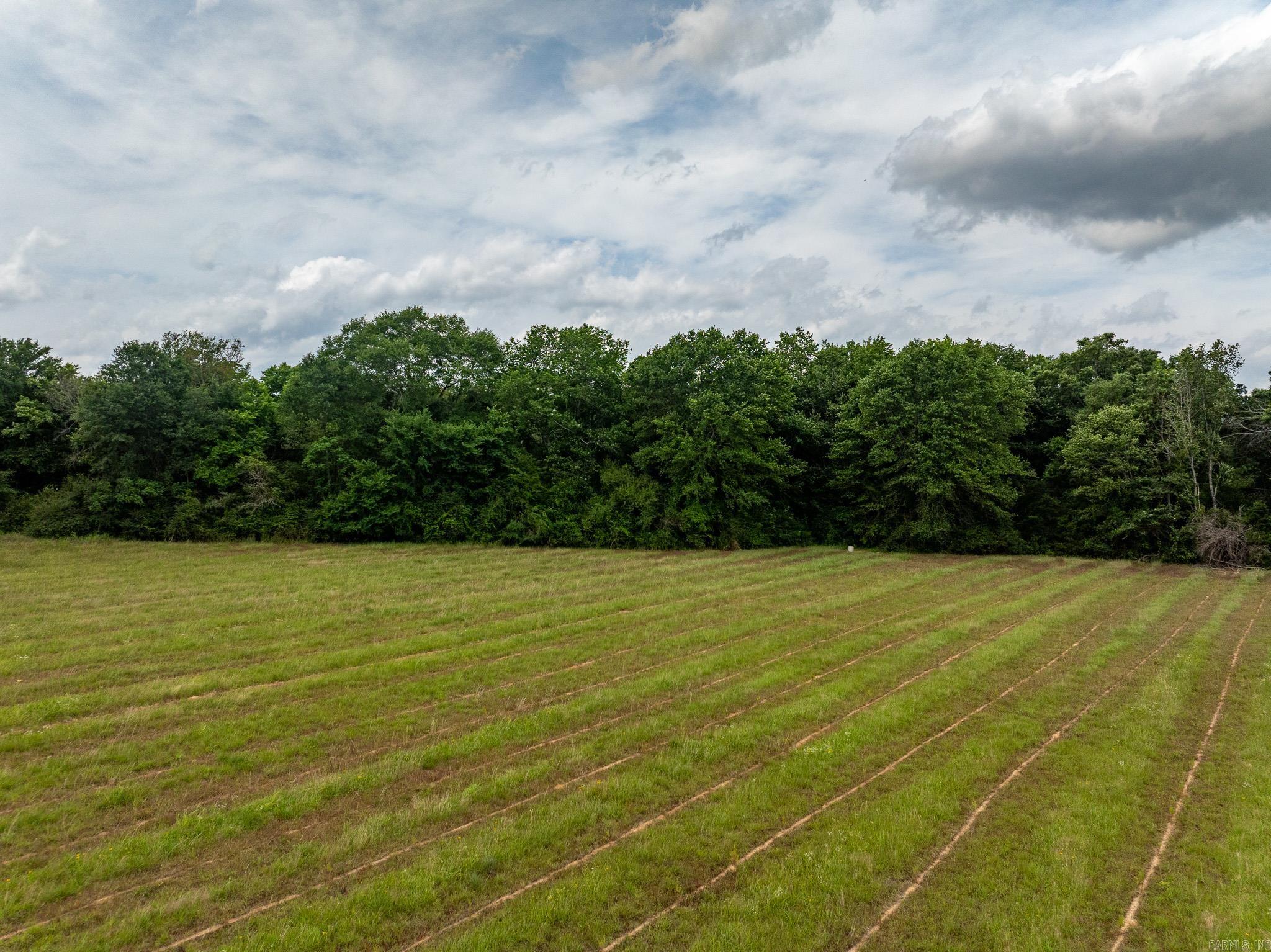 000 AR-28  Bluffton, AR