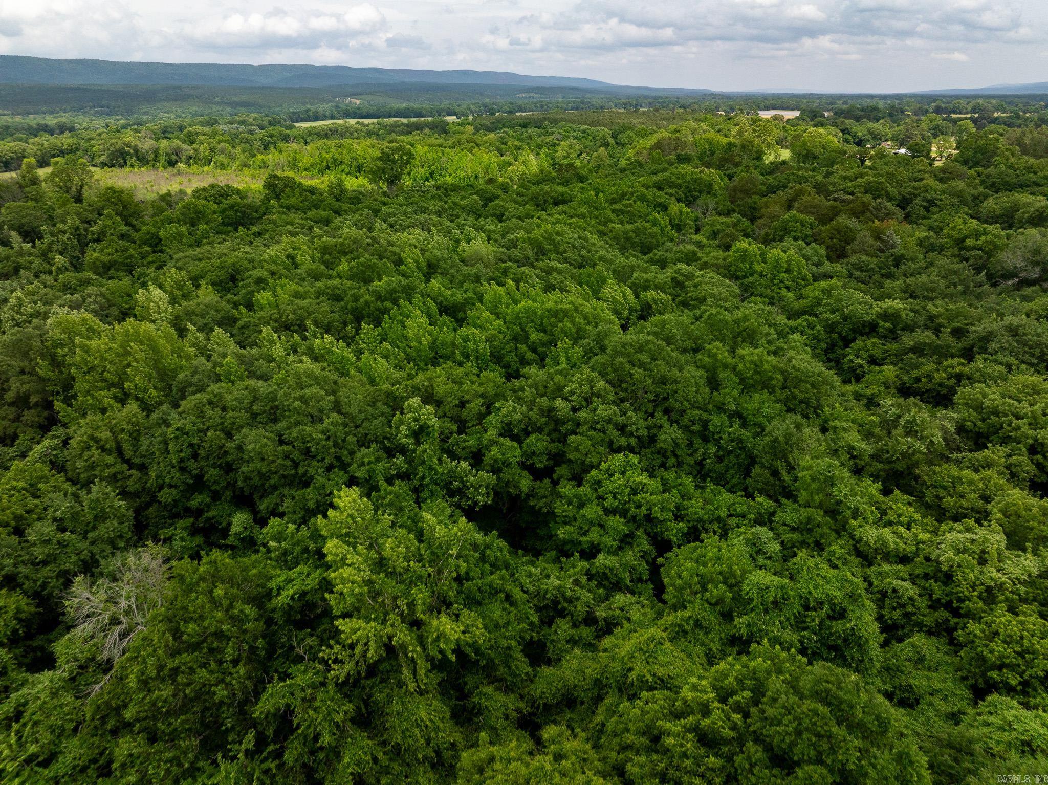 000 AR-28  Bluffton, AR