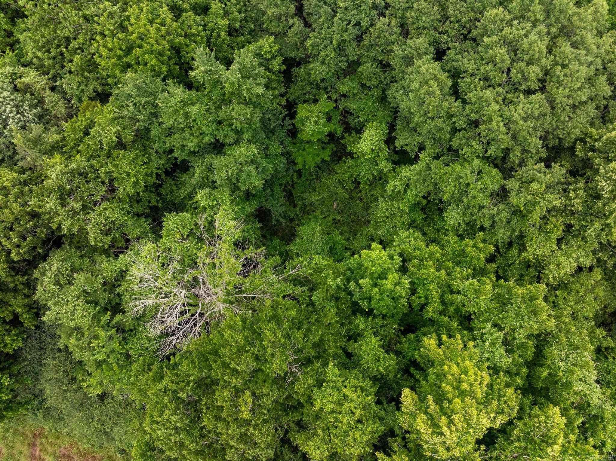 000 AR-28  Bluffton, AR