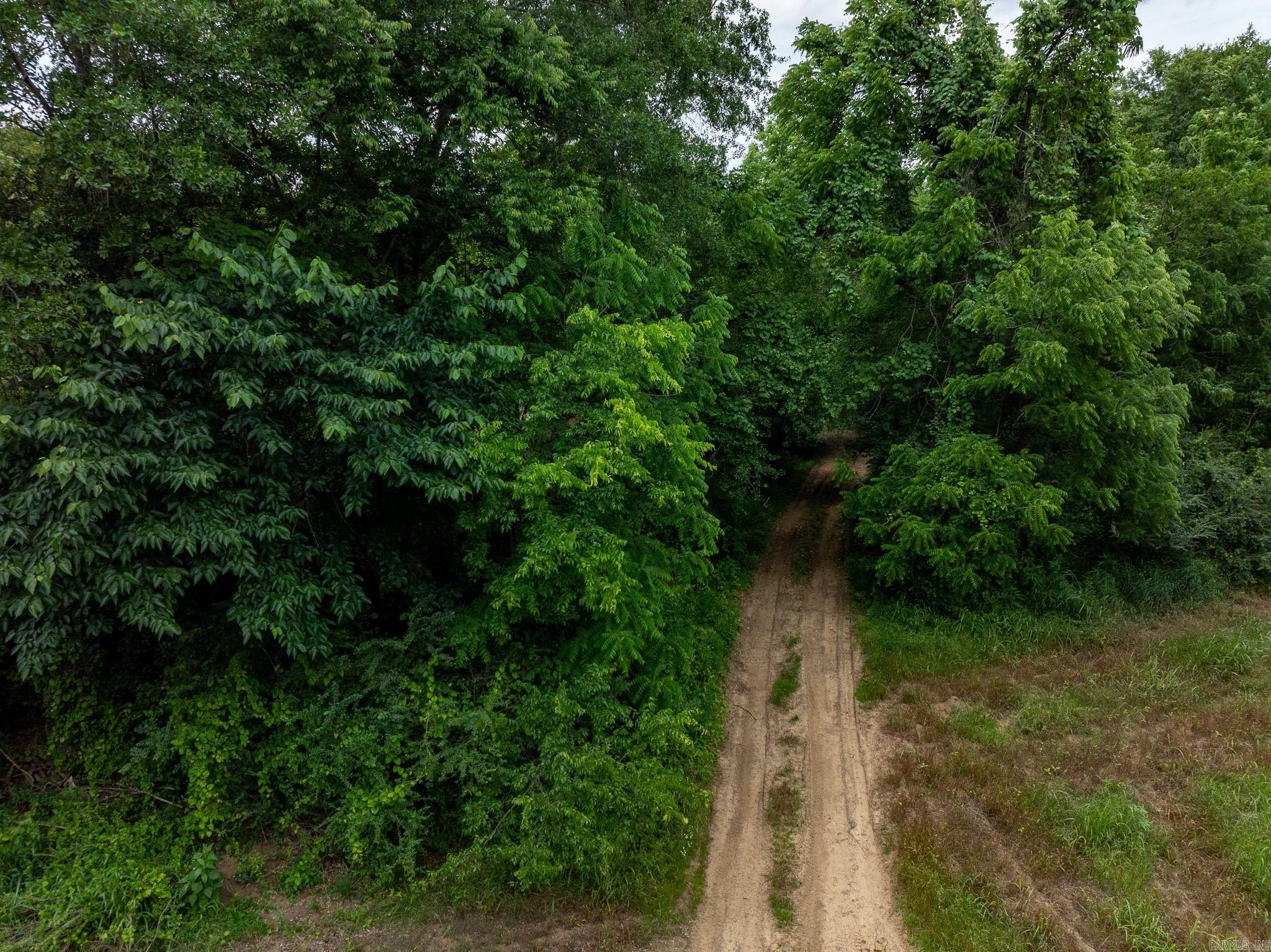 000 AR-28  Bluffton, AR