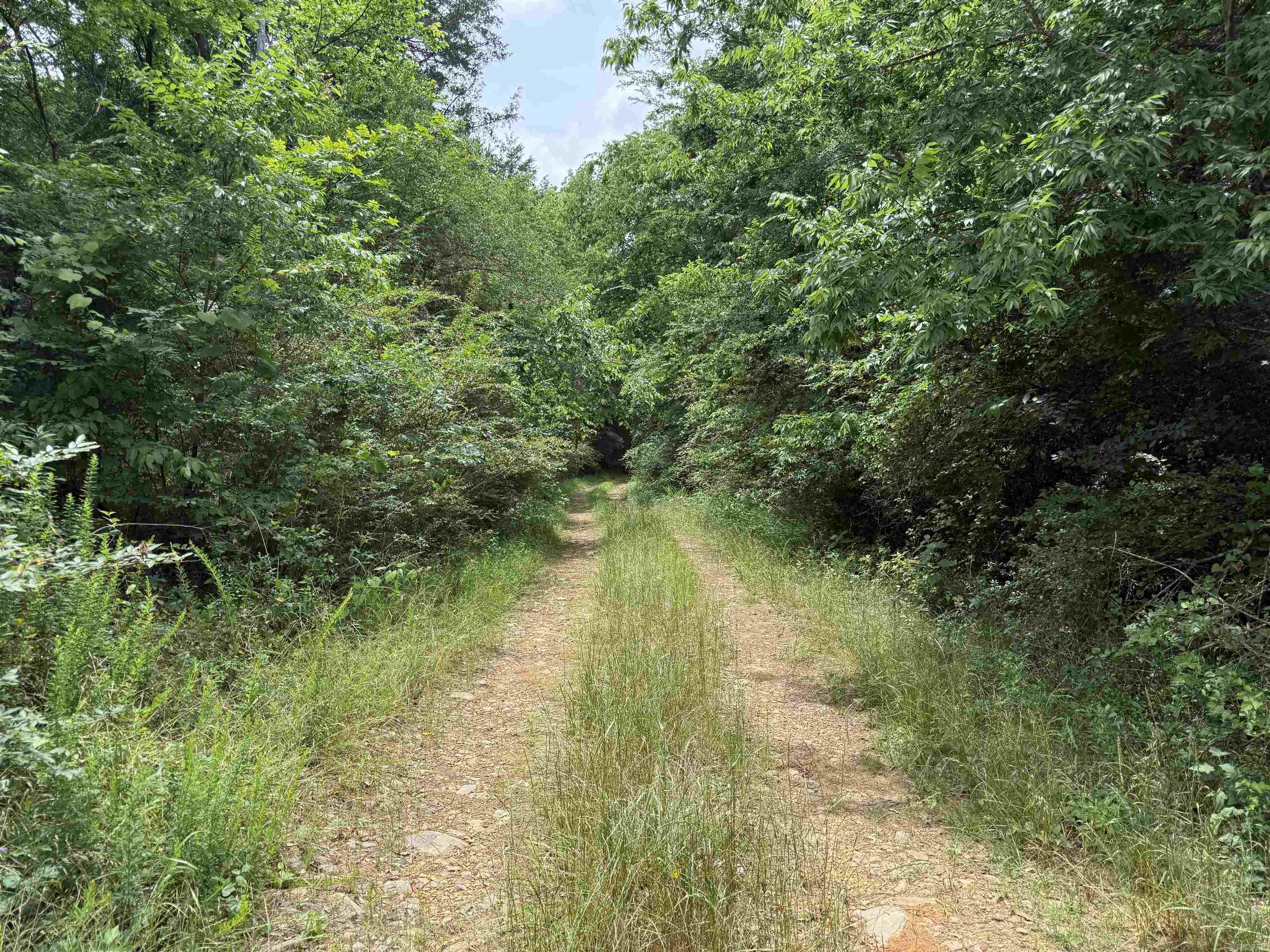 000 AR-28  Bluffton, AR