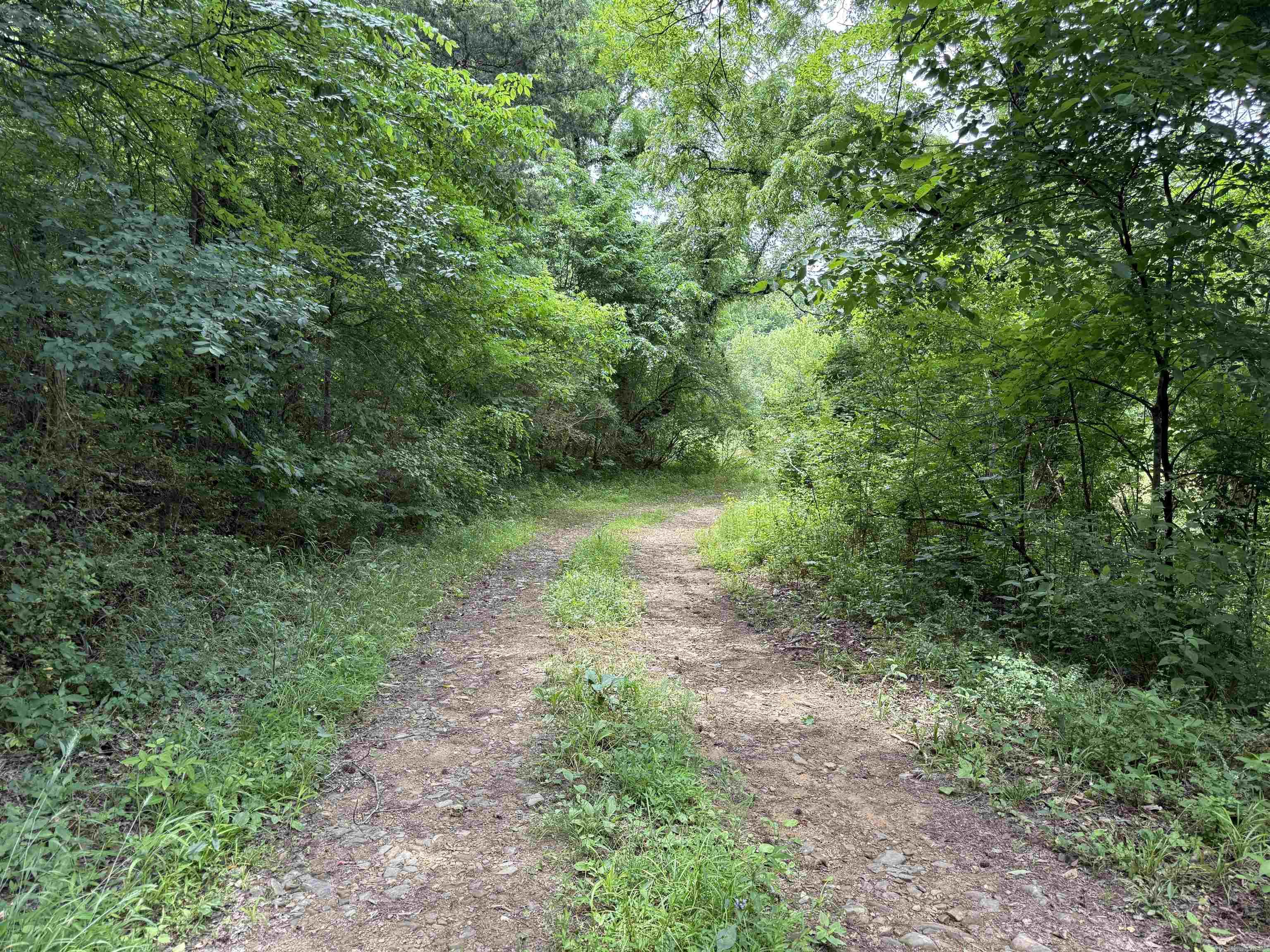 000 AR-28  Bluffton, AR
