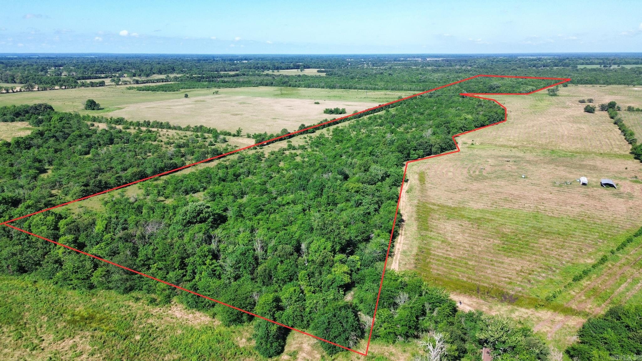 000 Pine Prairie Rd.  Ashdown, AR