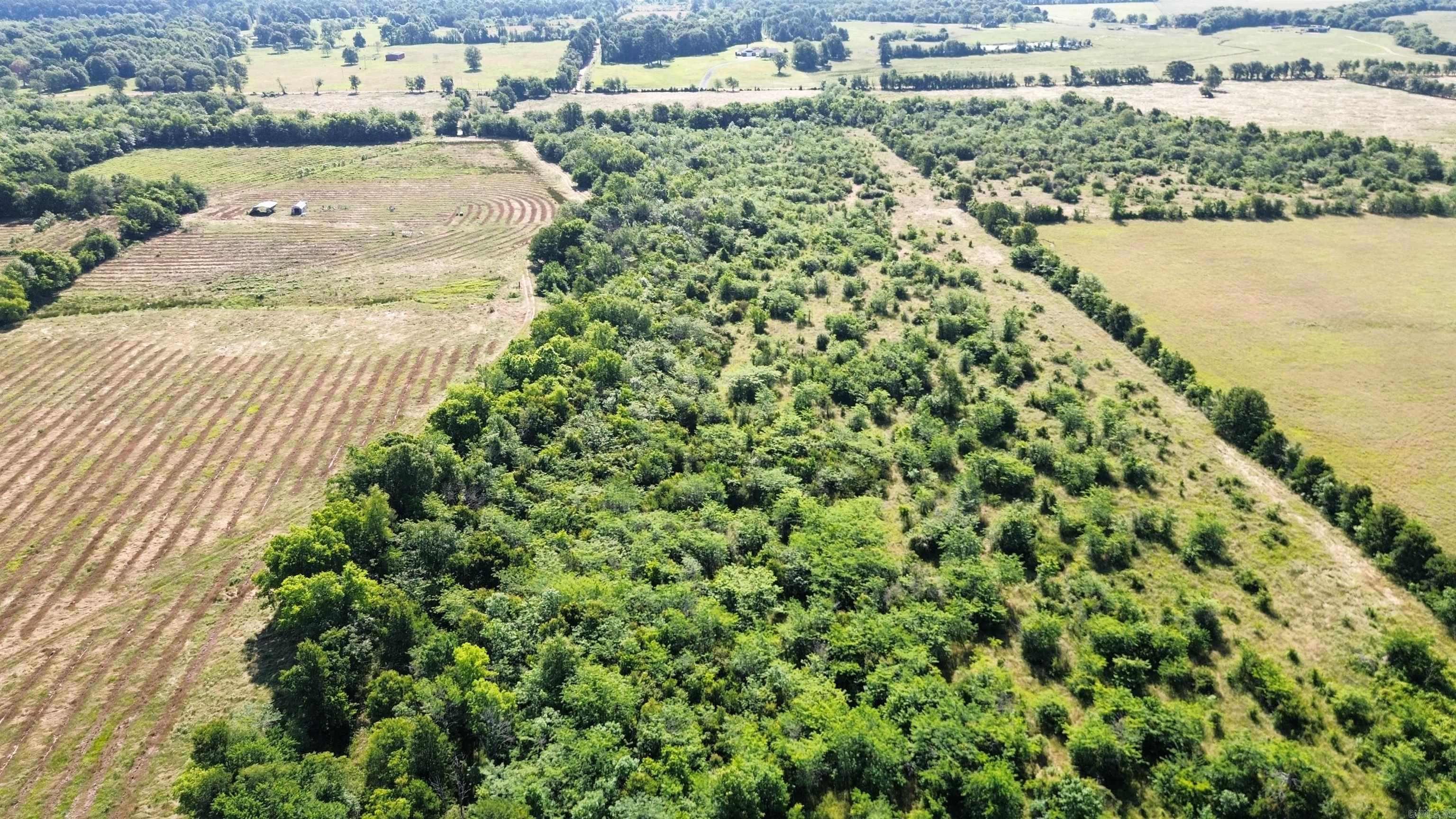 000 Pine Prairie Rd.  Ashdown, AR