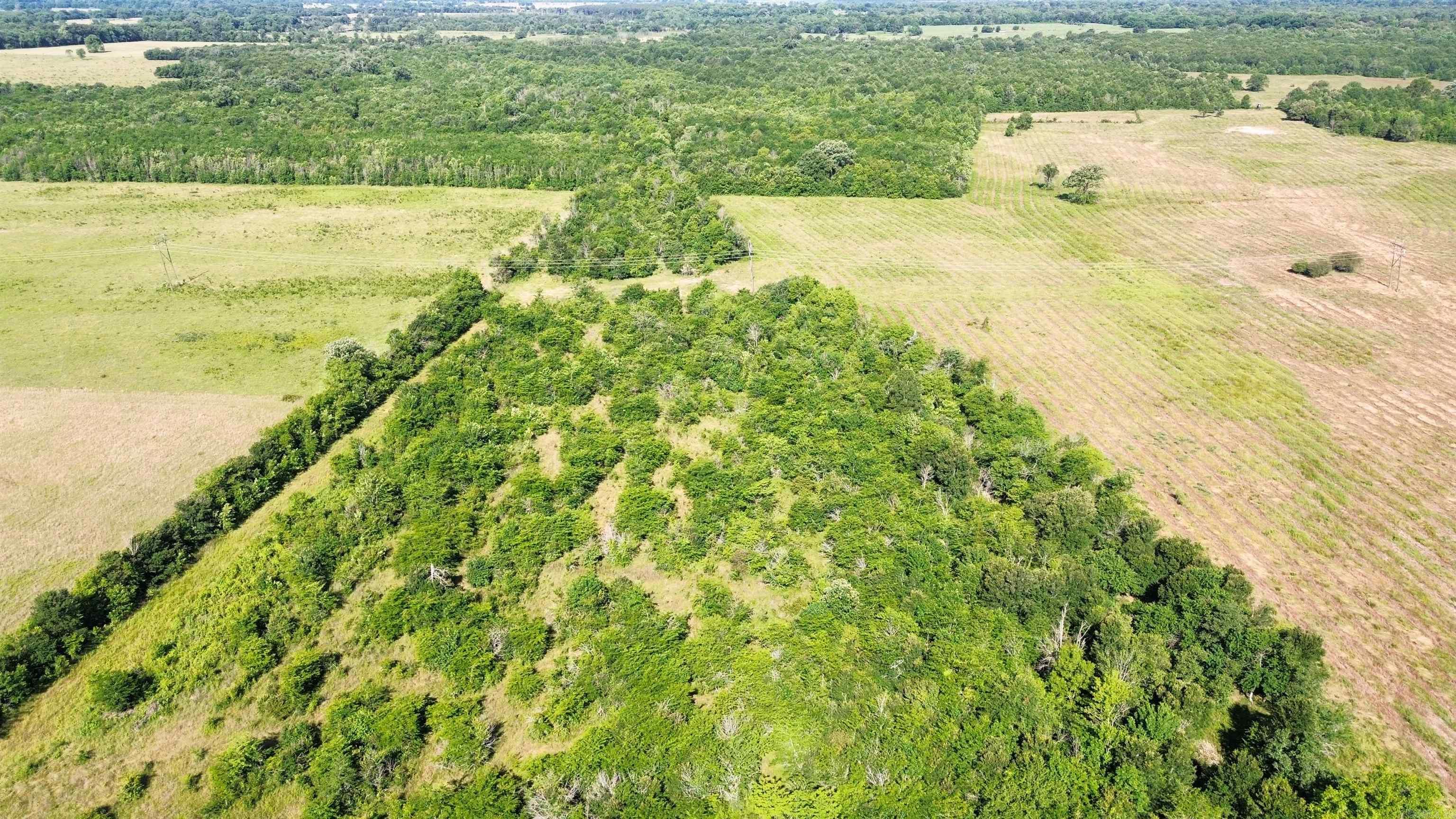 000 Pine Prairie Rd.  Ashdown, AR