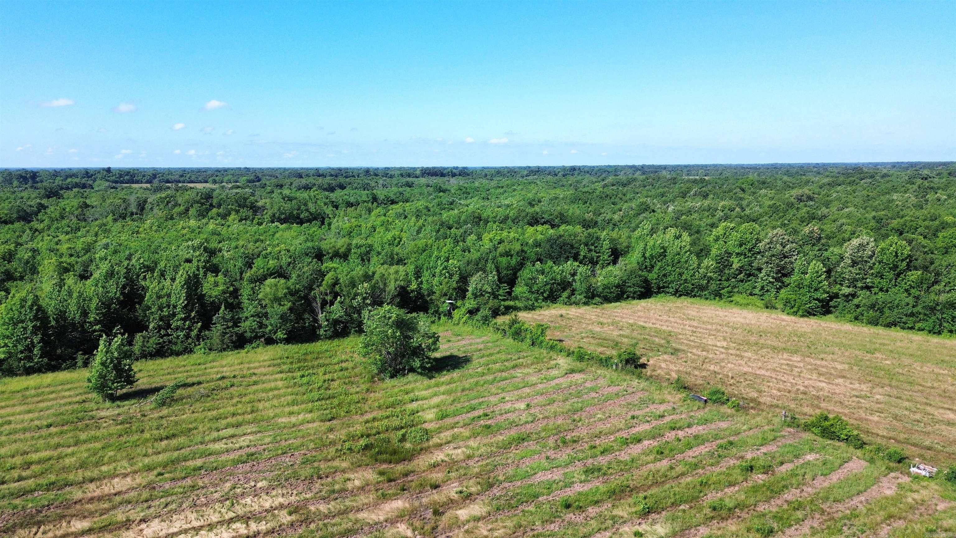 000 Pine Prairie Rd.  Ashdown, AR