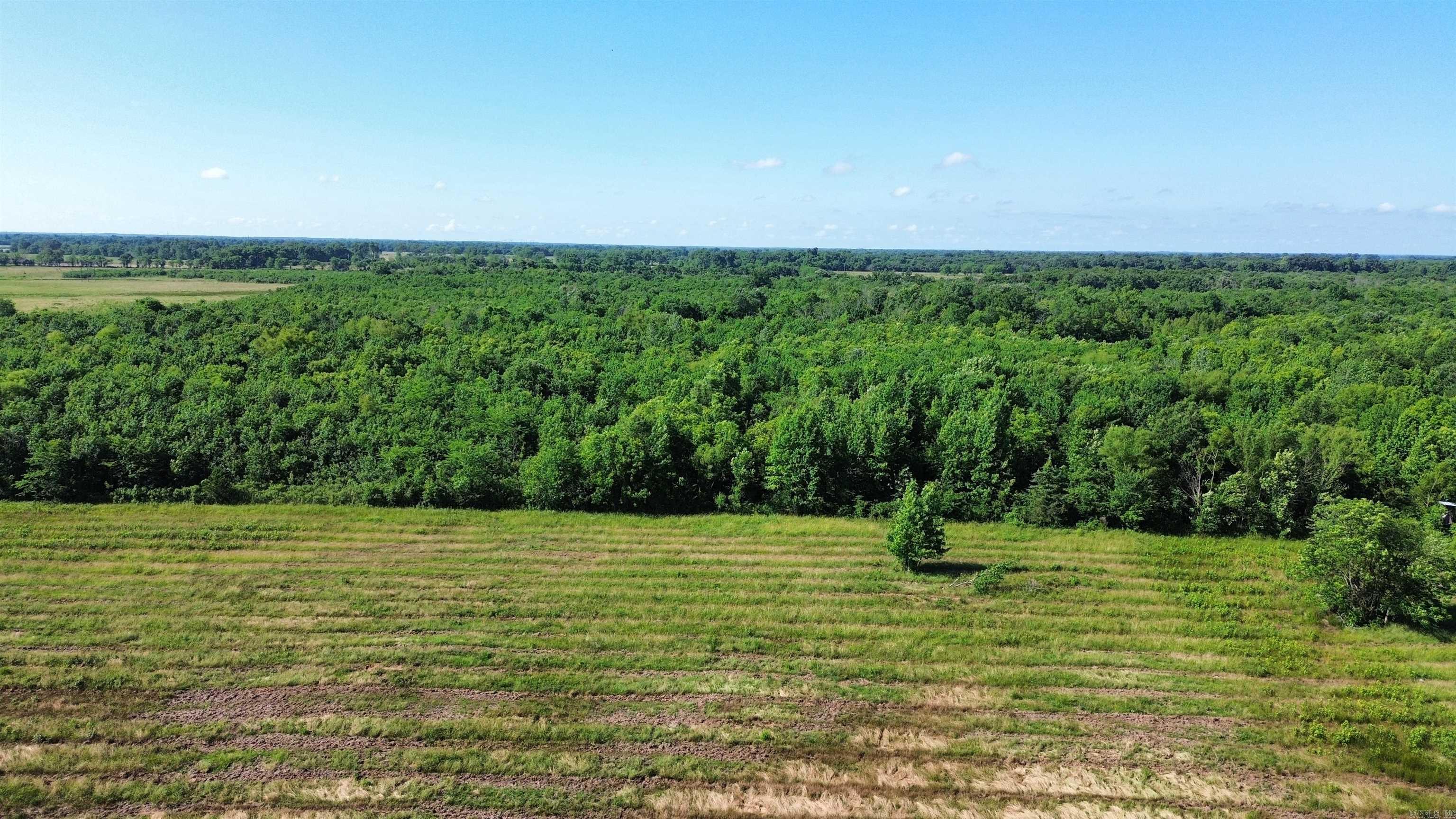 000 Pine Prairie Rd.  Ashdown, AR