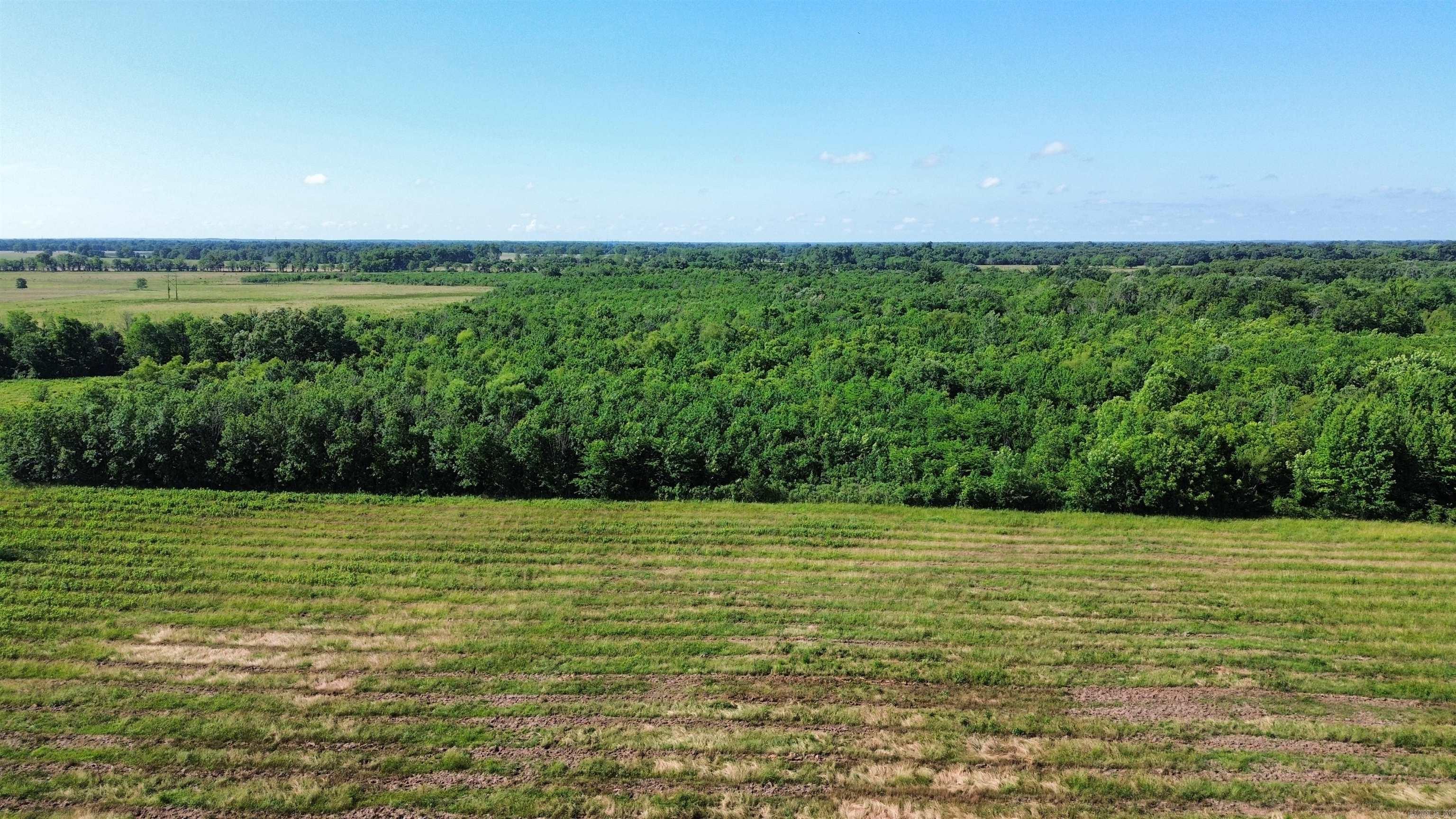 000 Pine Prairie Rd.  Ashdown, AR