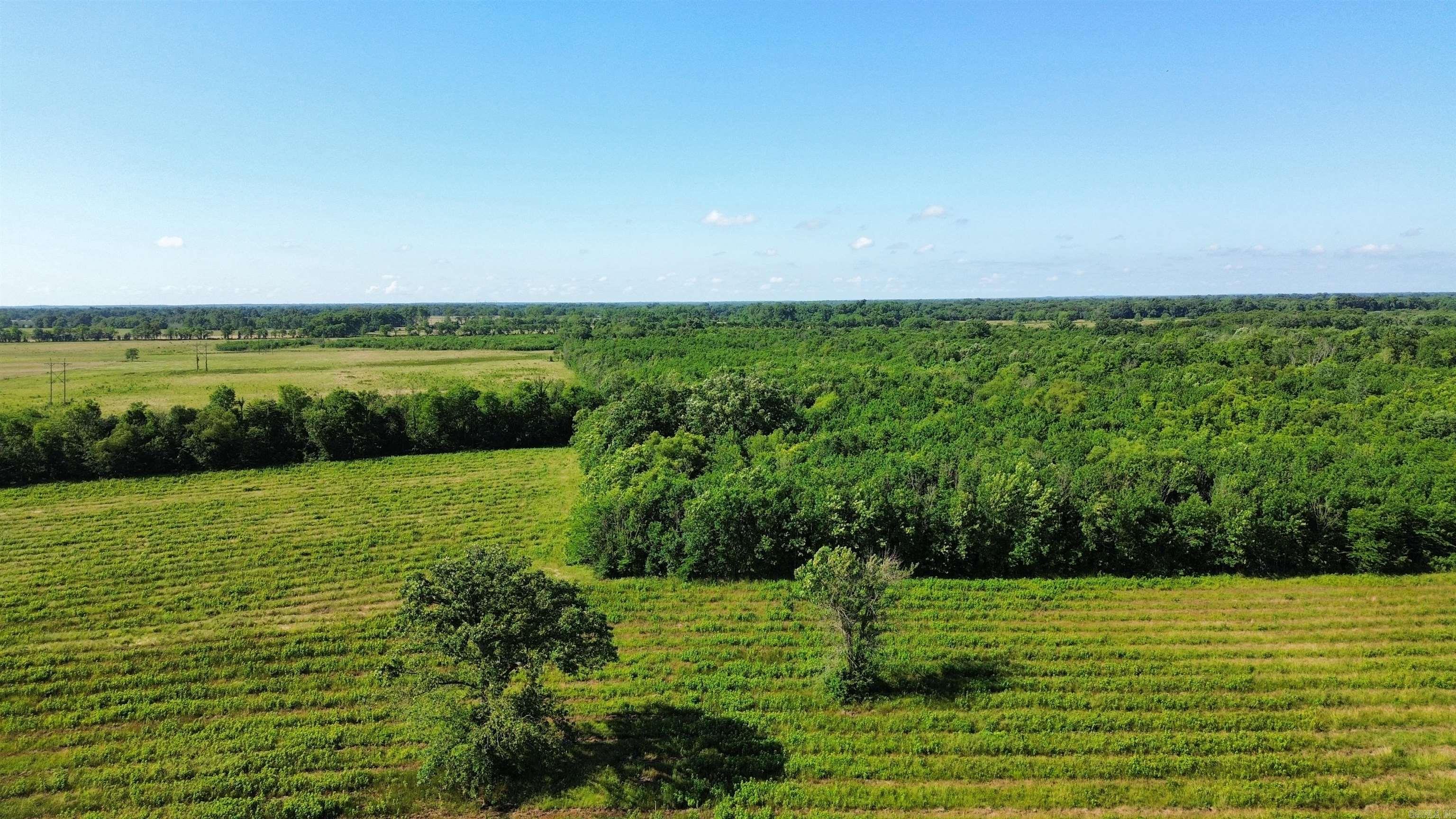 000 Pine Prairie Rd.  Ashdown, AR