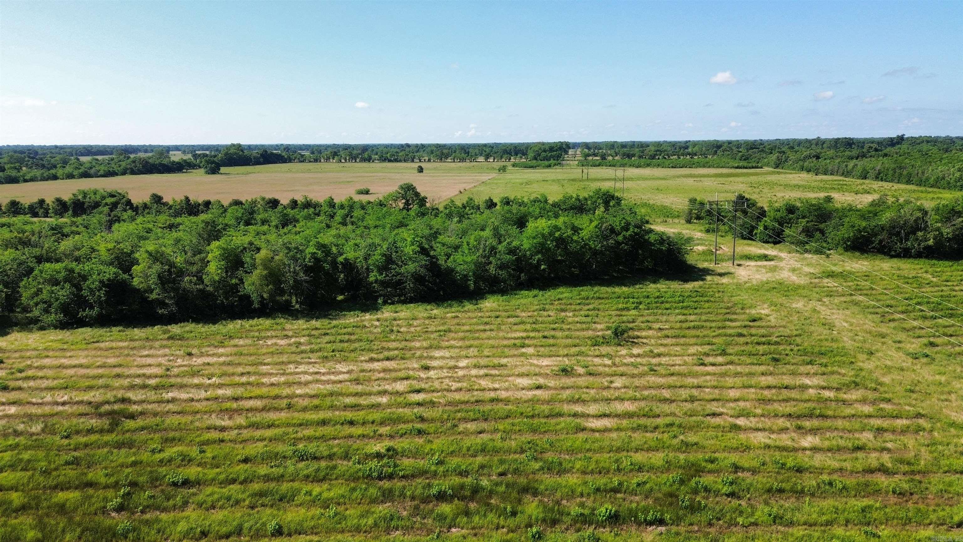 000 Pine Prairie Rd.  Ashdown, AR