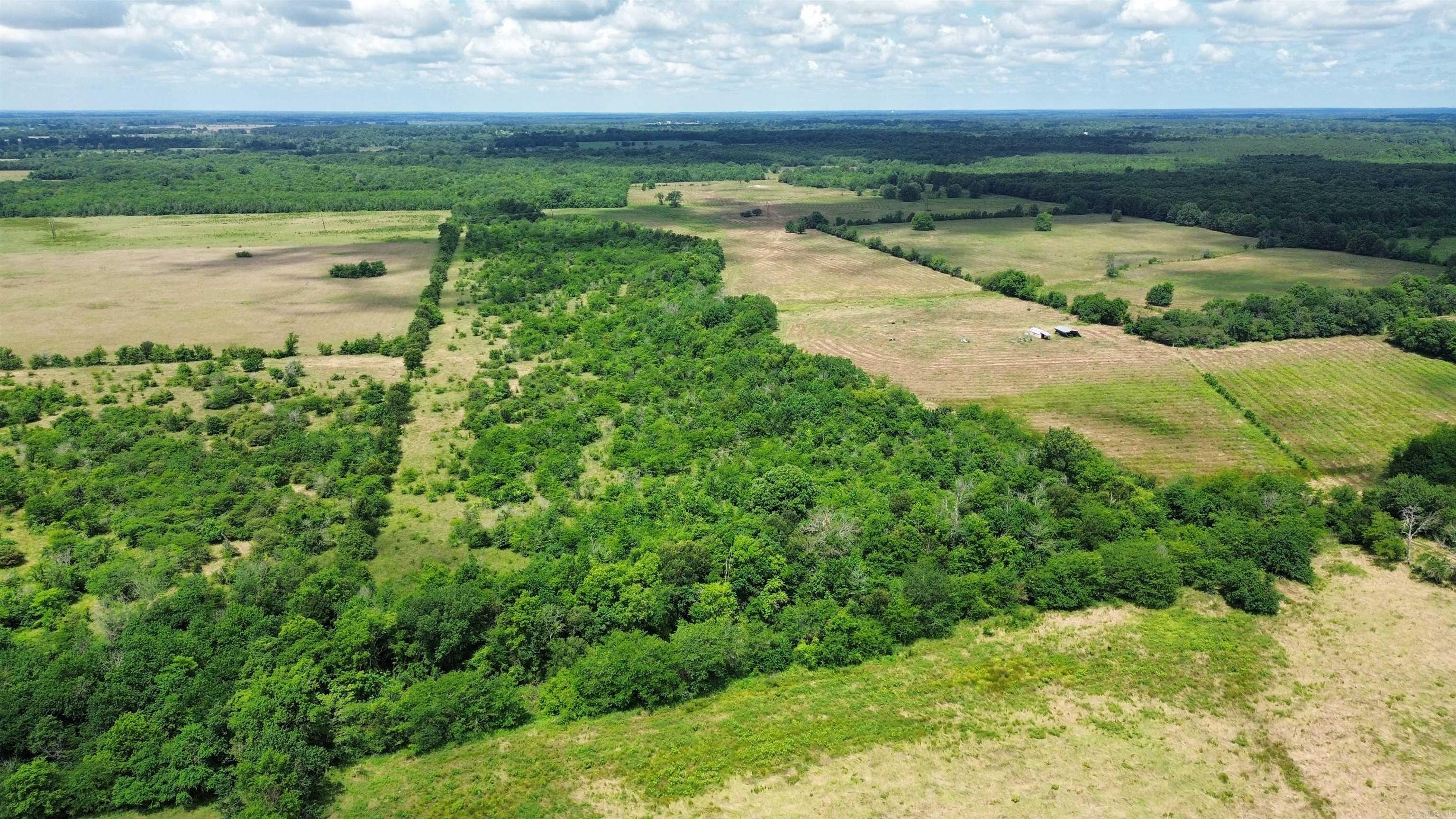 000 Pine Prairie Rd.  Ashdown, AR