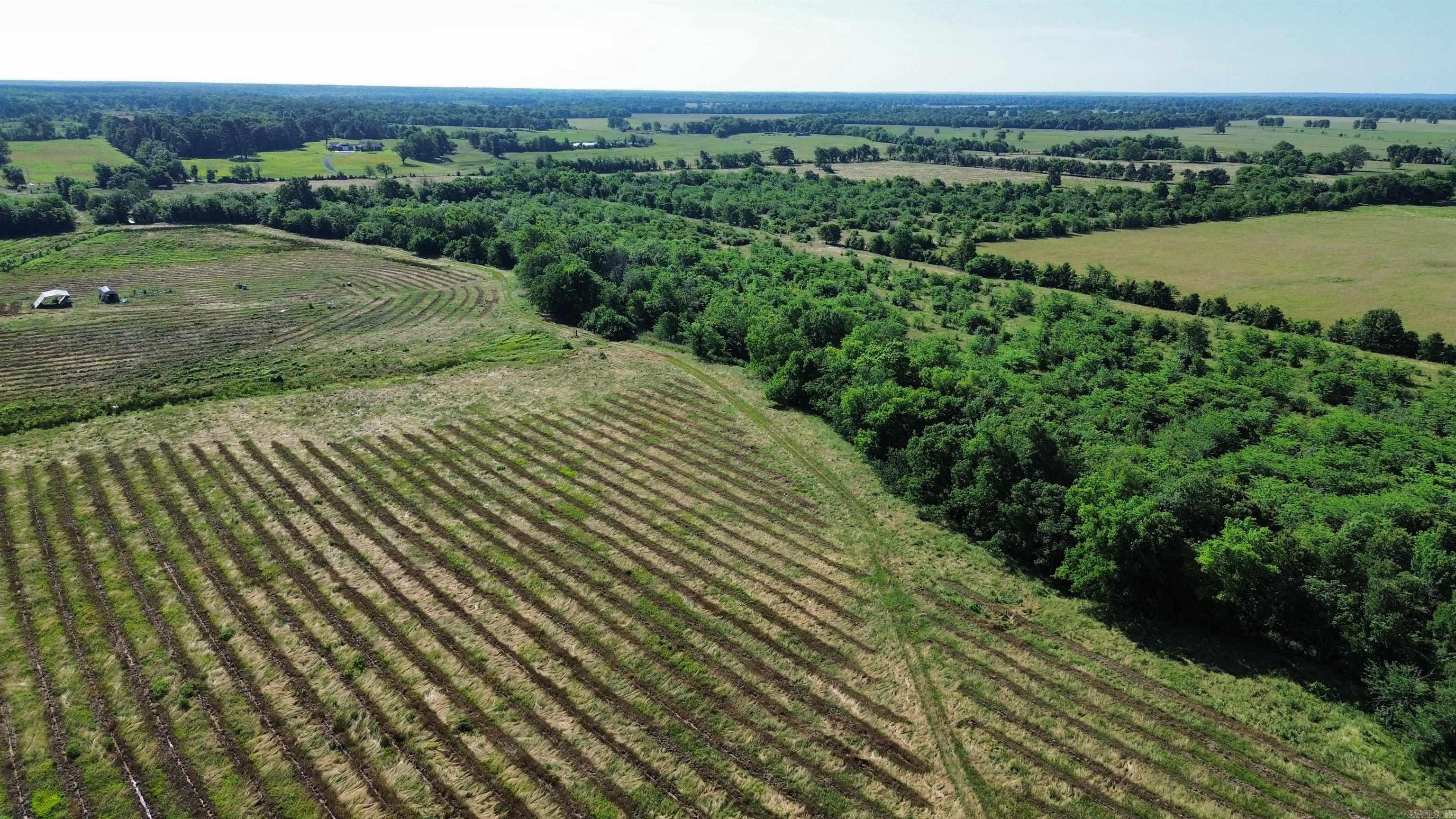 000 Pine Prairie Rd.  Ashdown, AR
