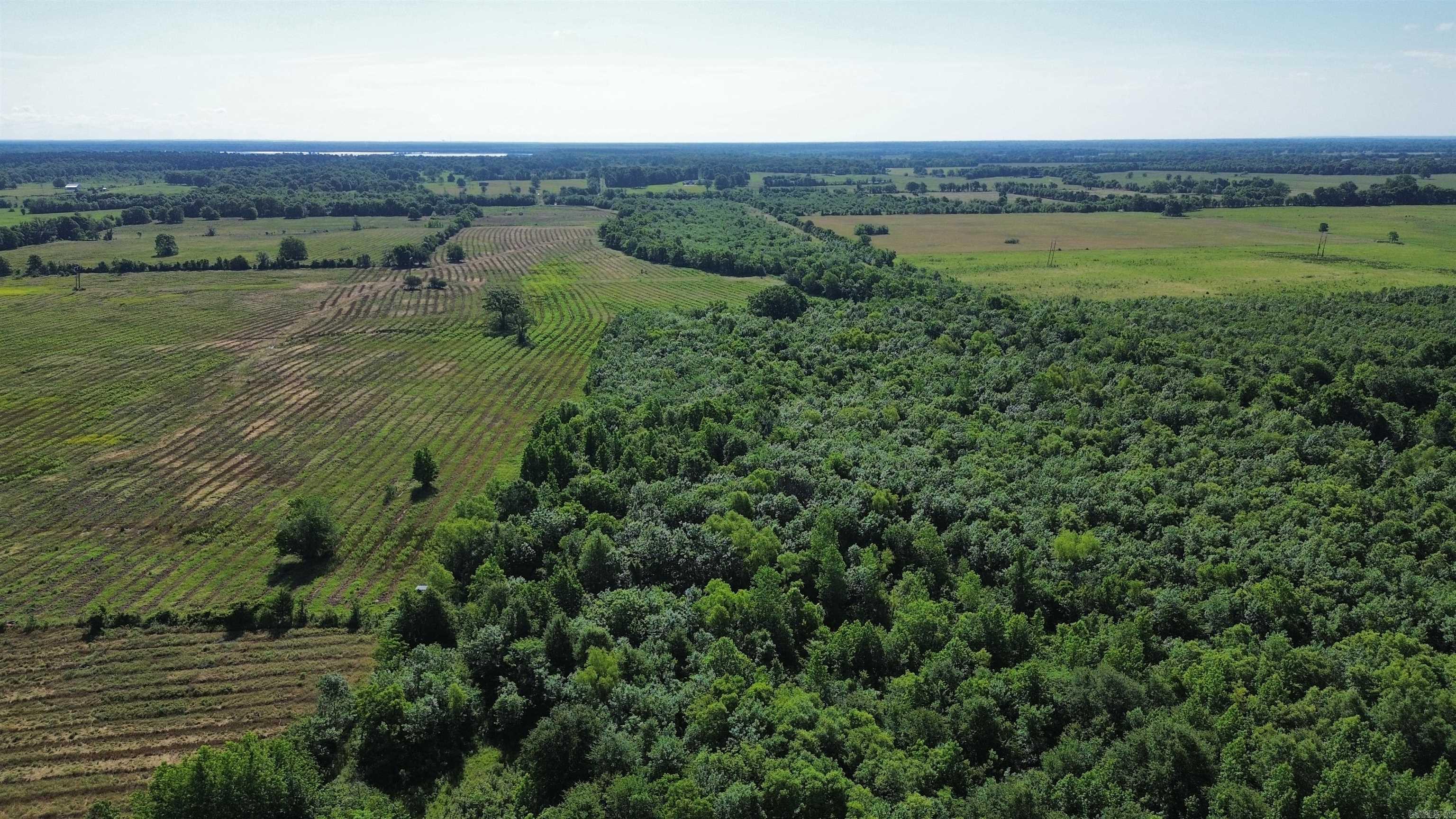 000 Pine Prairie Rd.  Ashdown, AR