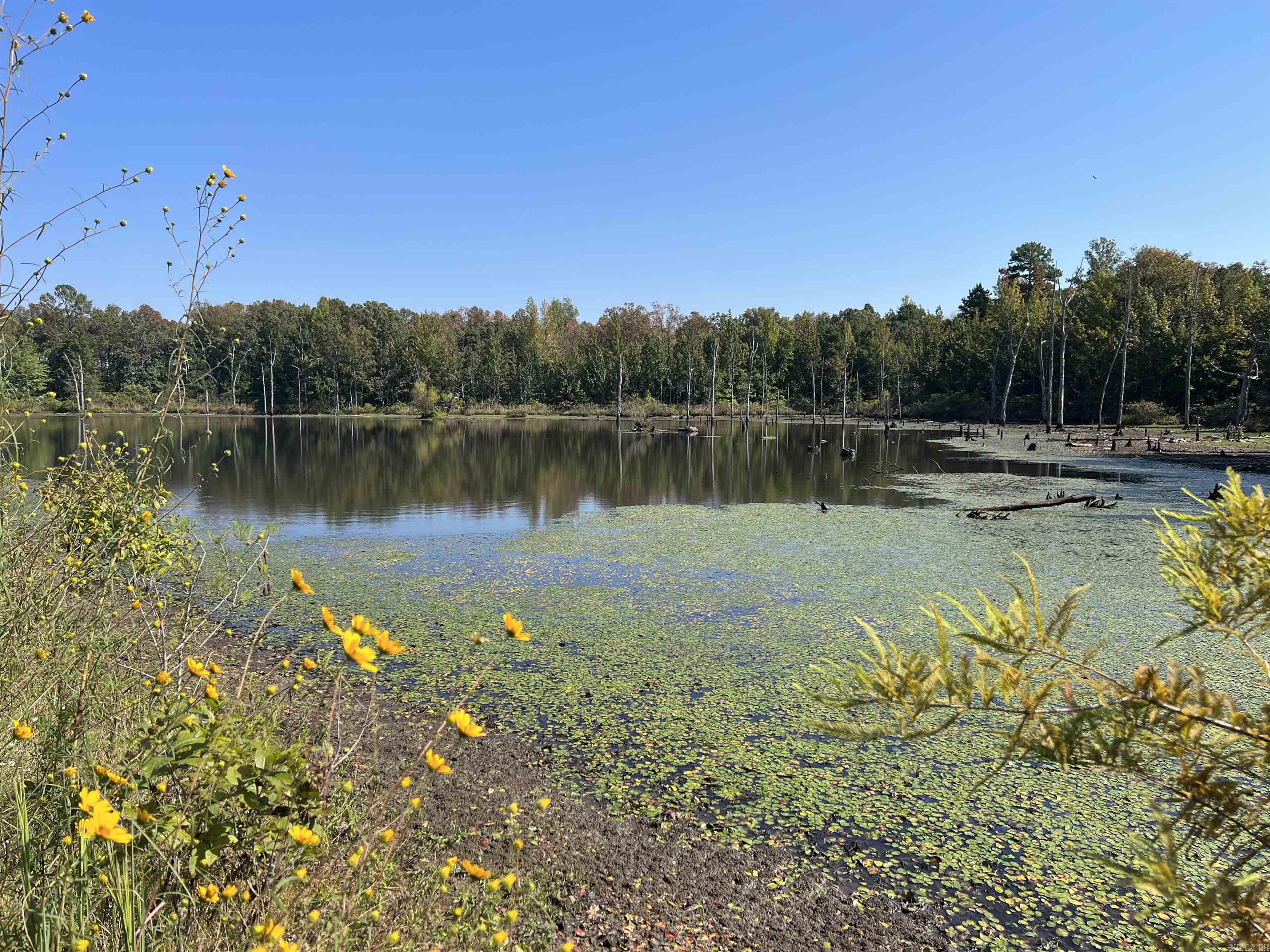 00 Lakeside  Judsonia, AR