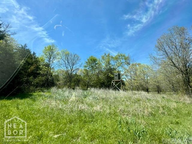 2101 Persimmon Pond Road #2044  Pocahontas, AR