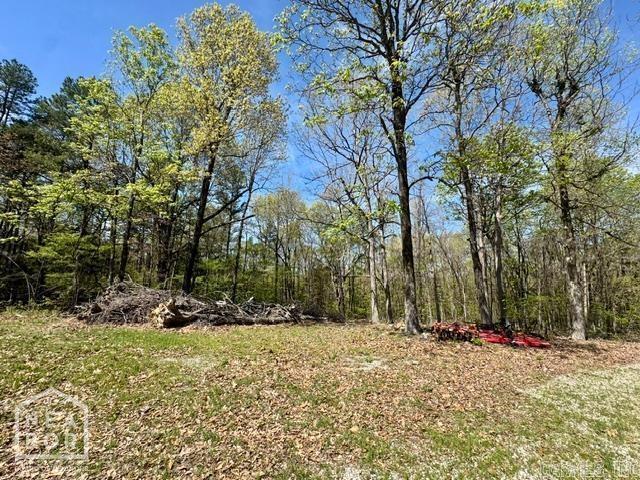 2101 Persimmon Pond Road #2044  Pocahontas, AR