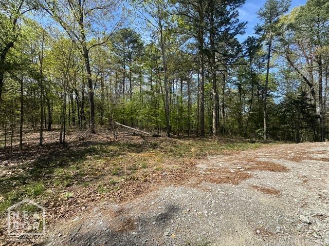 2101 Persimmon Pond Road #2044  Pocahontas, AR
