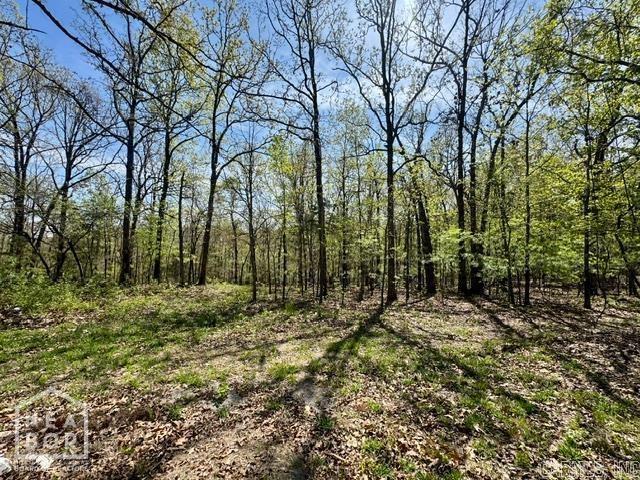 2101 Persimmon Pond Road #2044  Pocahontas, AR