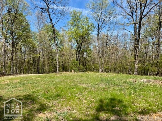 2101 Persimmon Pond Road #2044  Pocahontas, AR