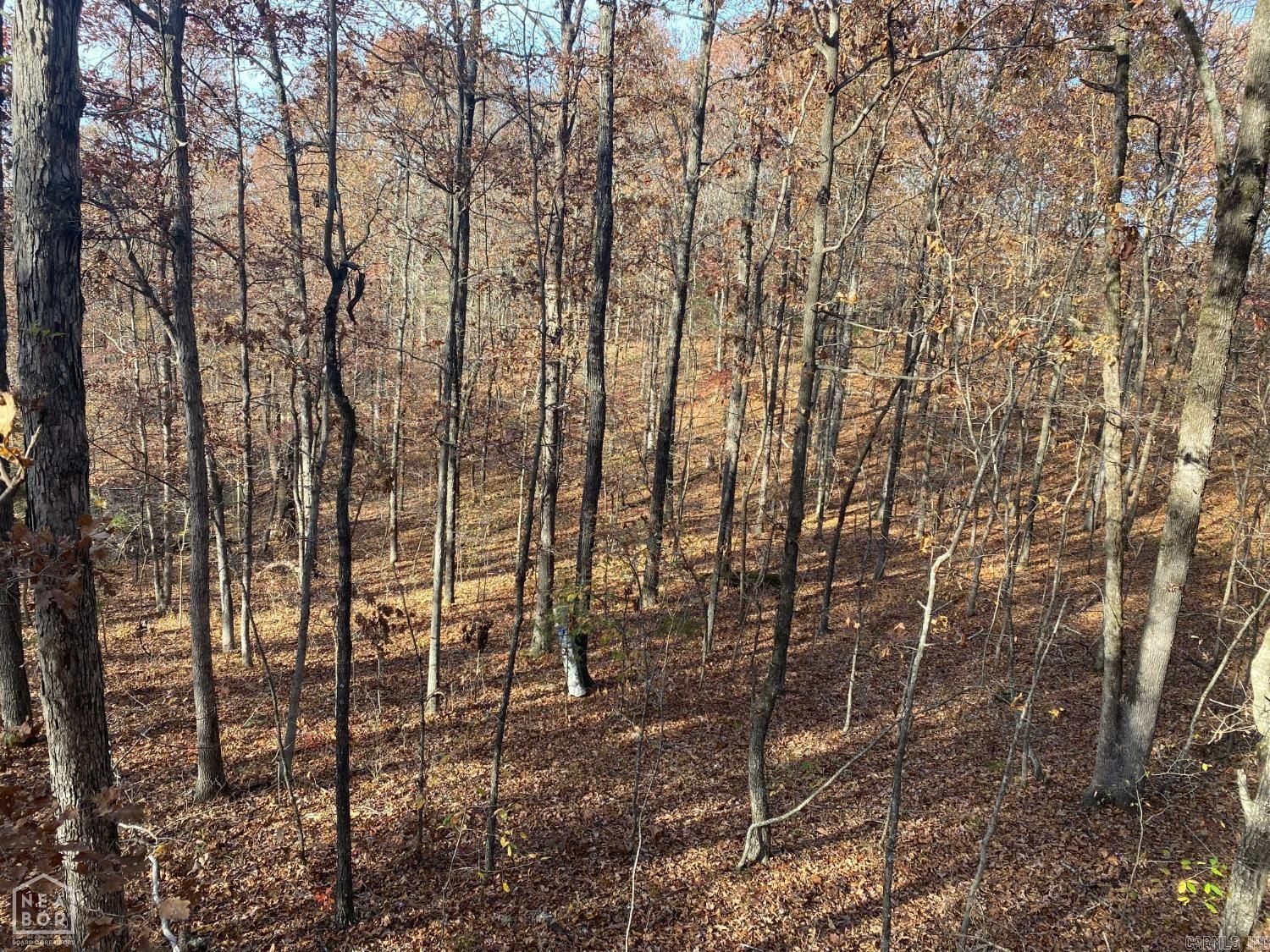 2101 Persimmon Pond Road #2044  Pocahontas, AR